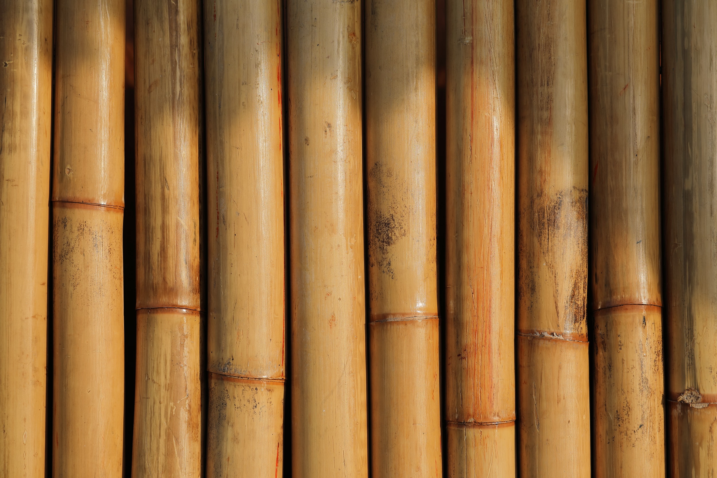 Building a bamboo bike