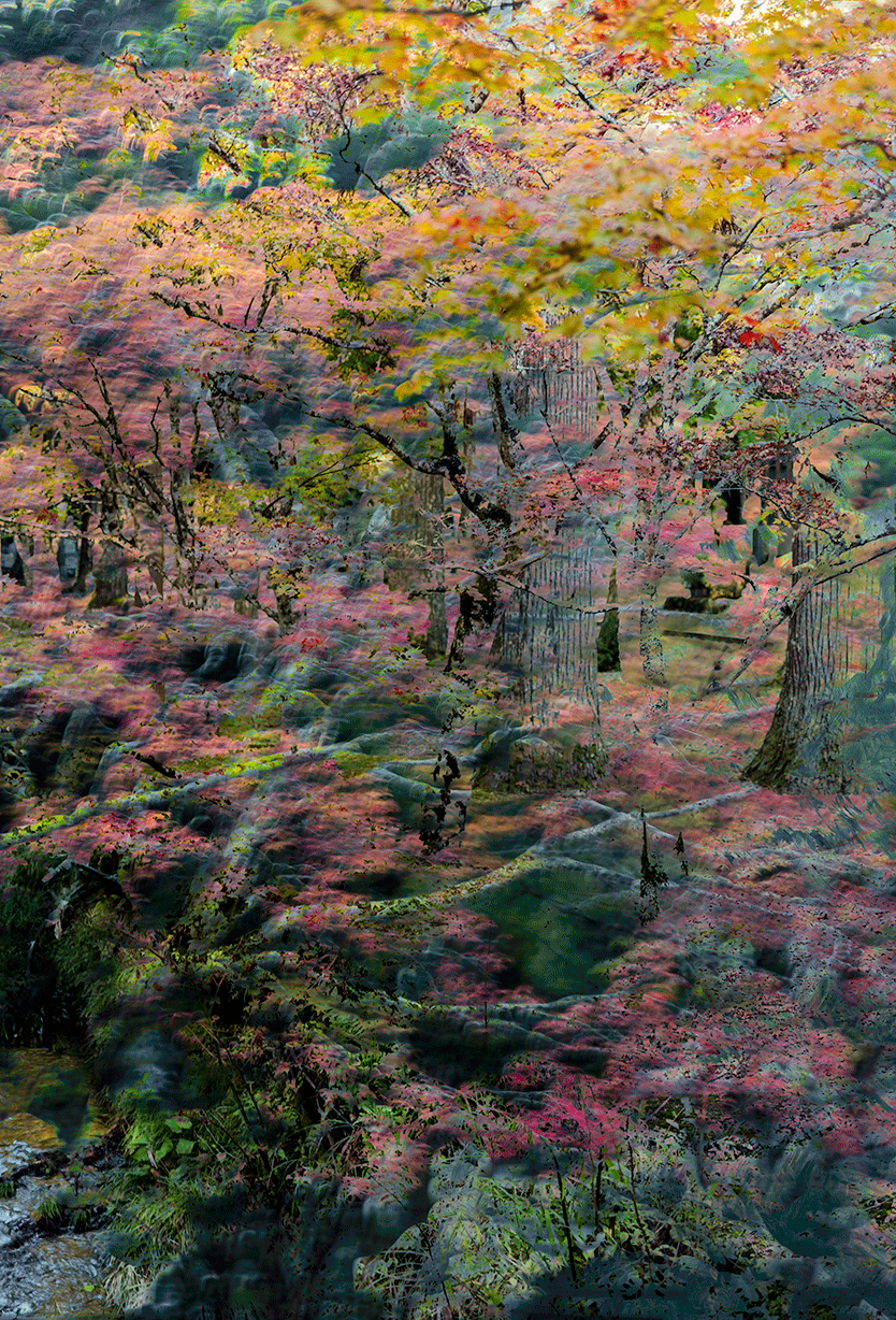  Koyasan - to be continued.. 140x95cm - 5ed 2019 