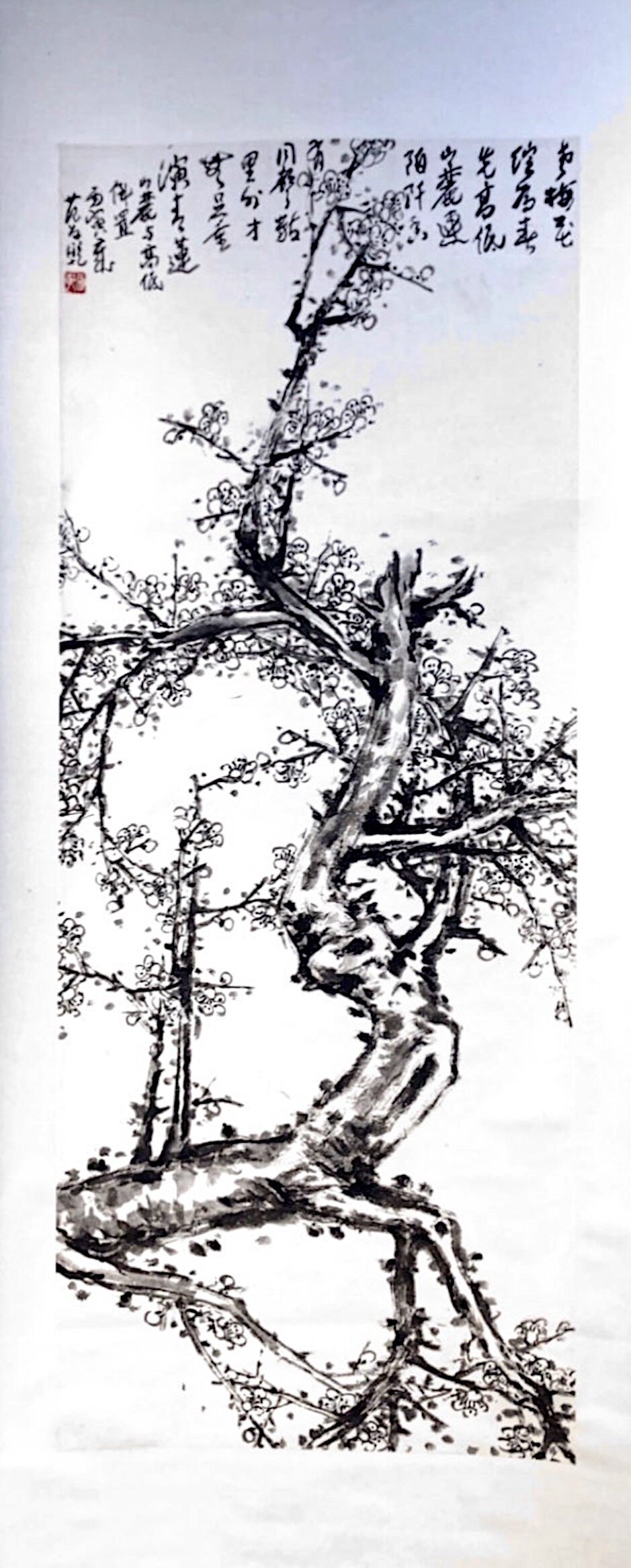 Old Plum Blossom.jpg