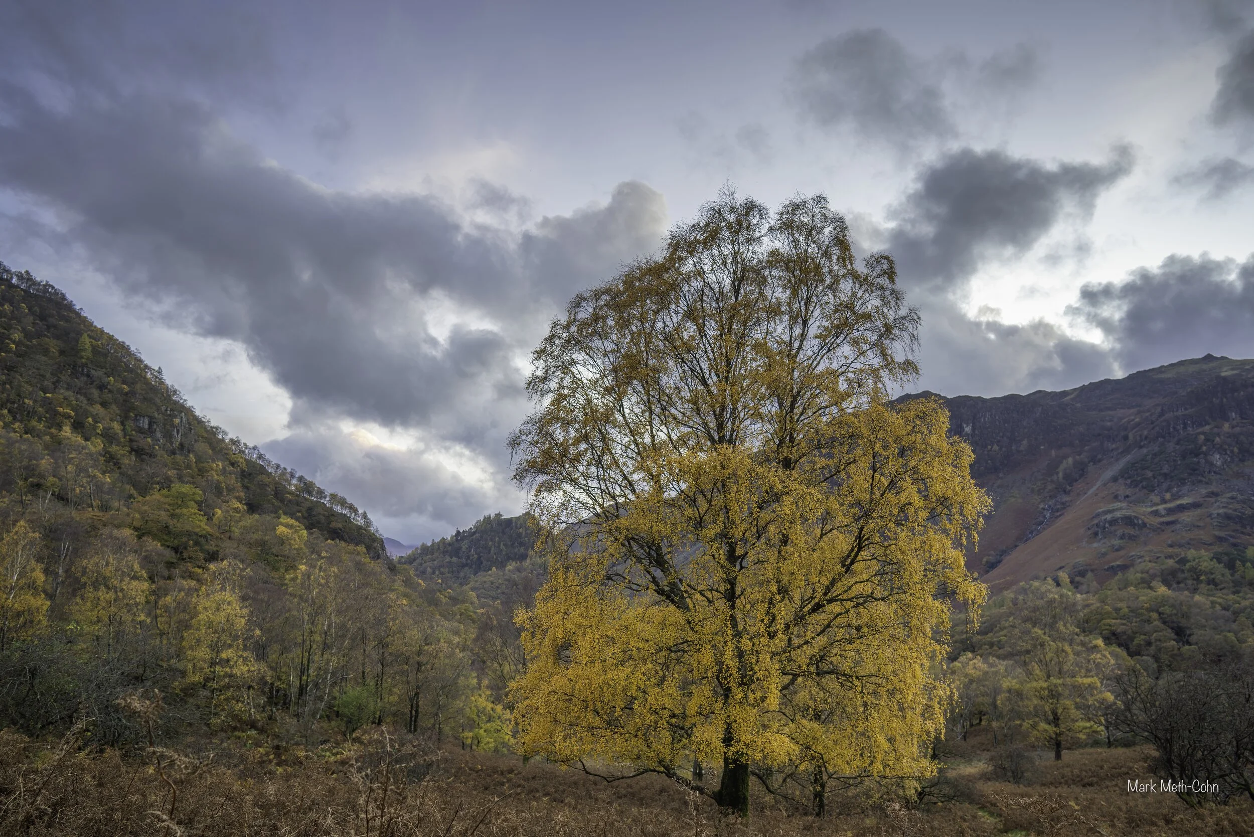 Autumn in Borrowdale (2 of 5).jpg
