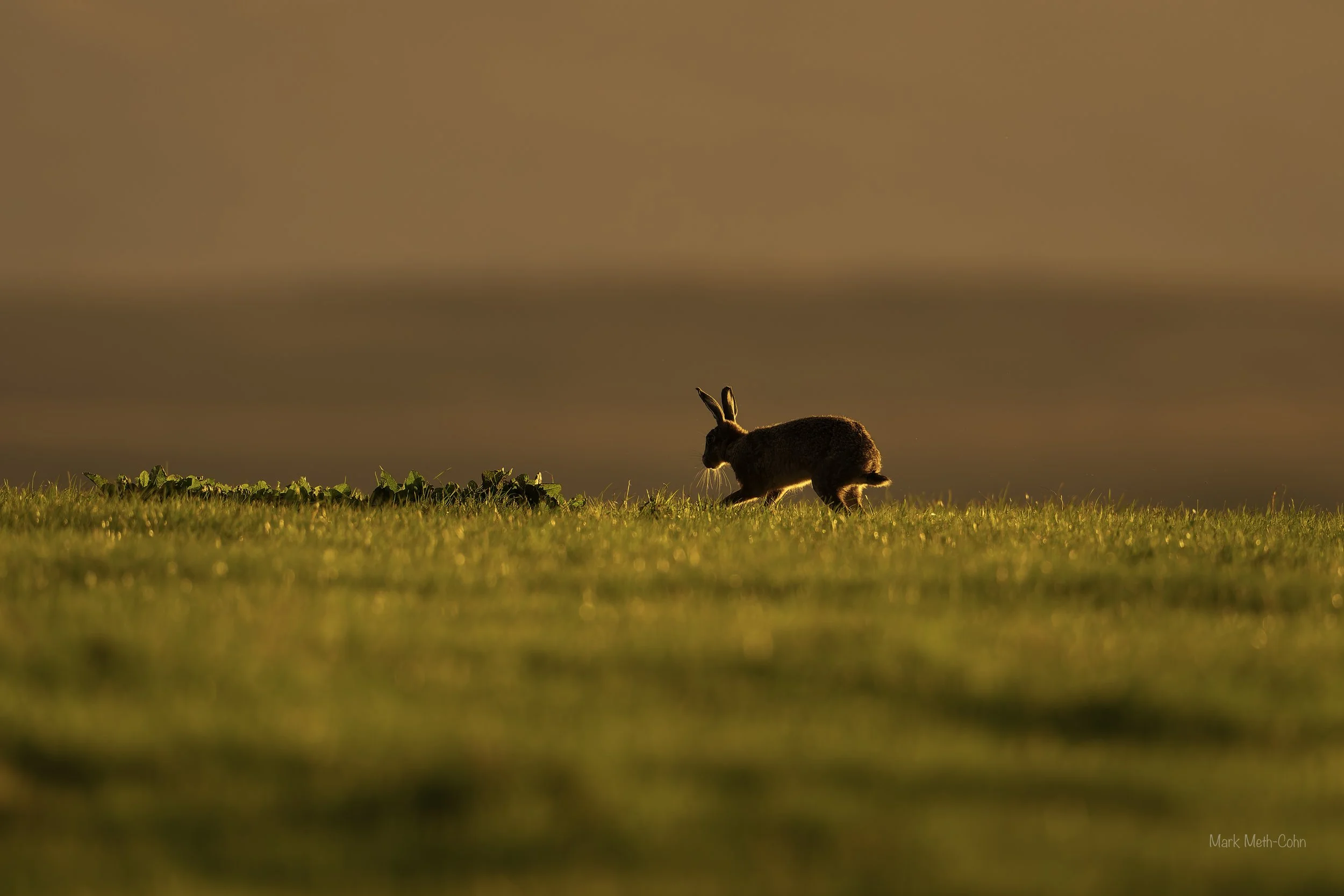 Out on the moors (2 of 5).jpg