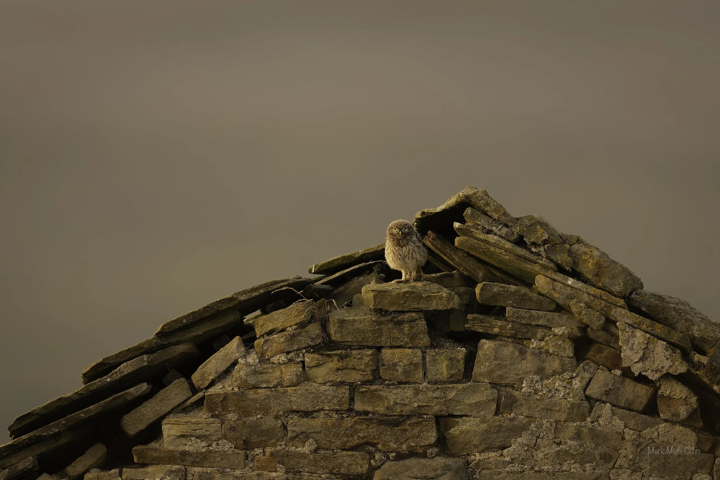 Out on the moors (4 of 5).jpg