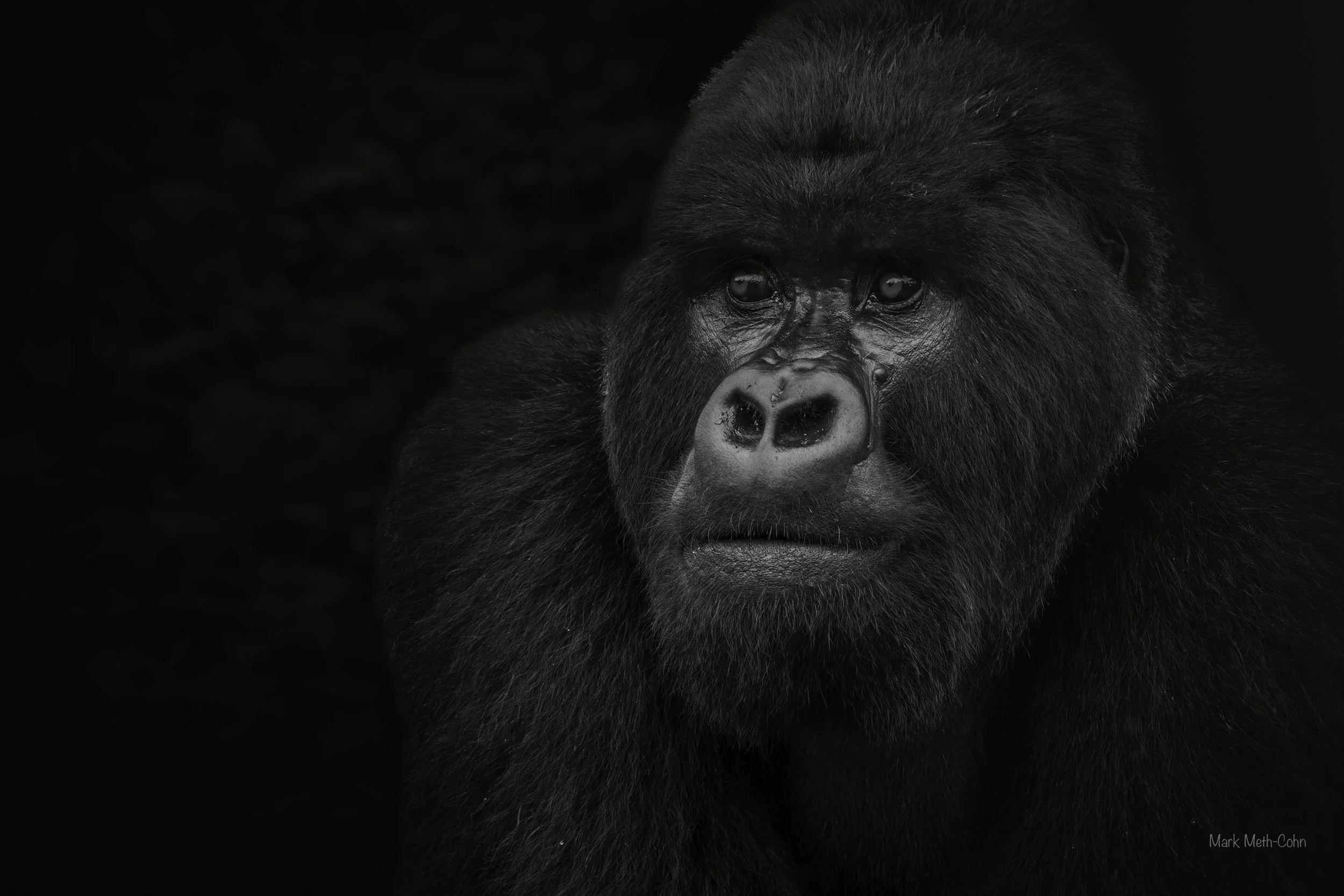 Rwanda (28 of 29).jpg