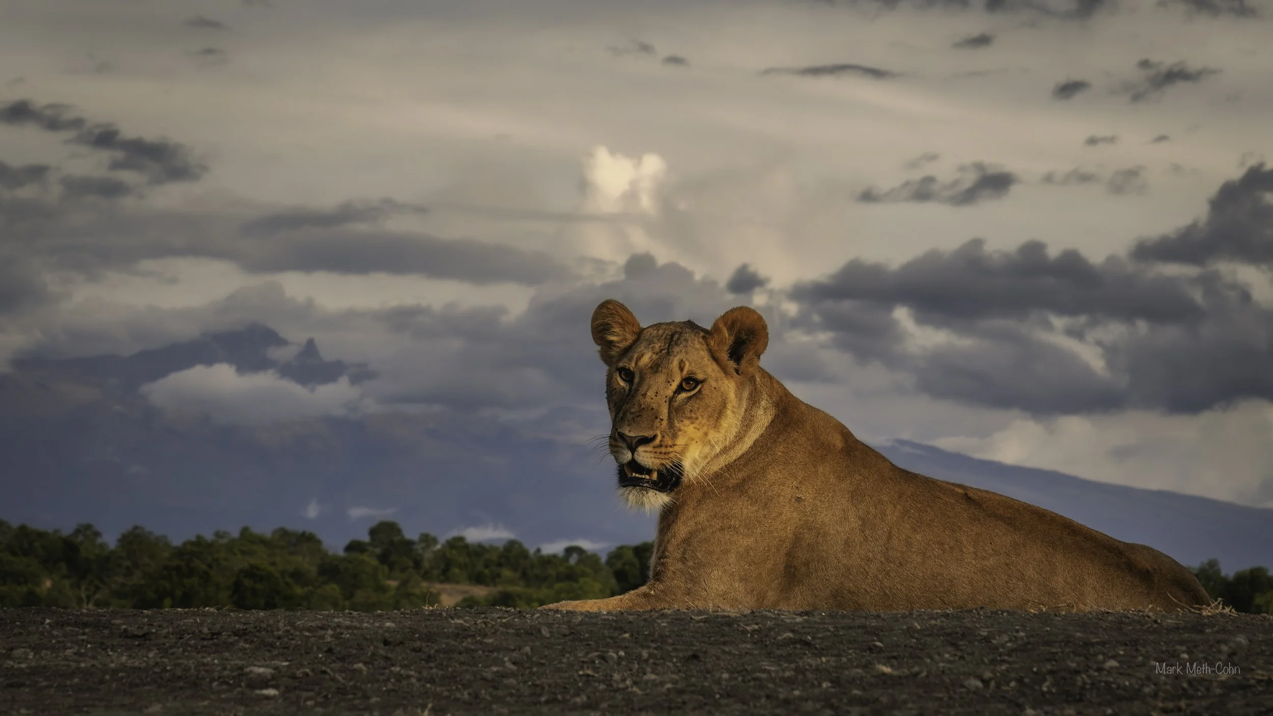 Kenya (2 of 35).jpg