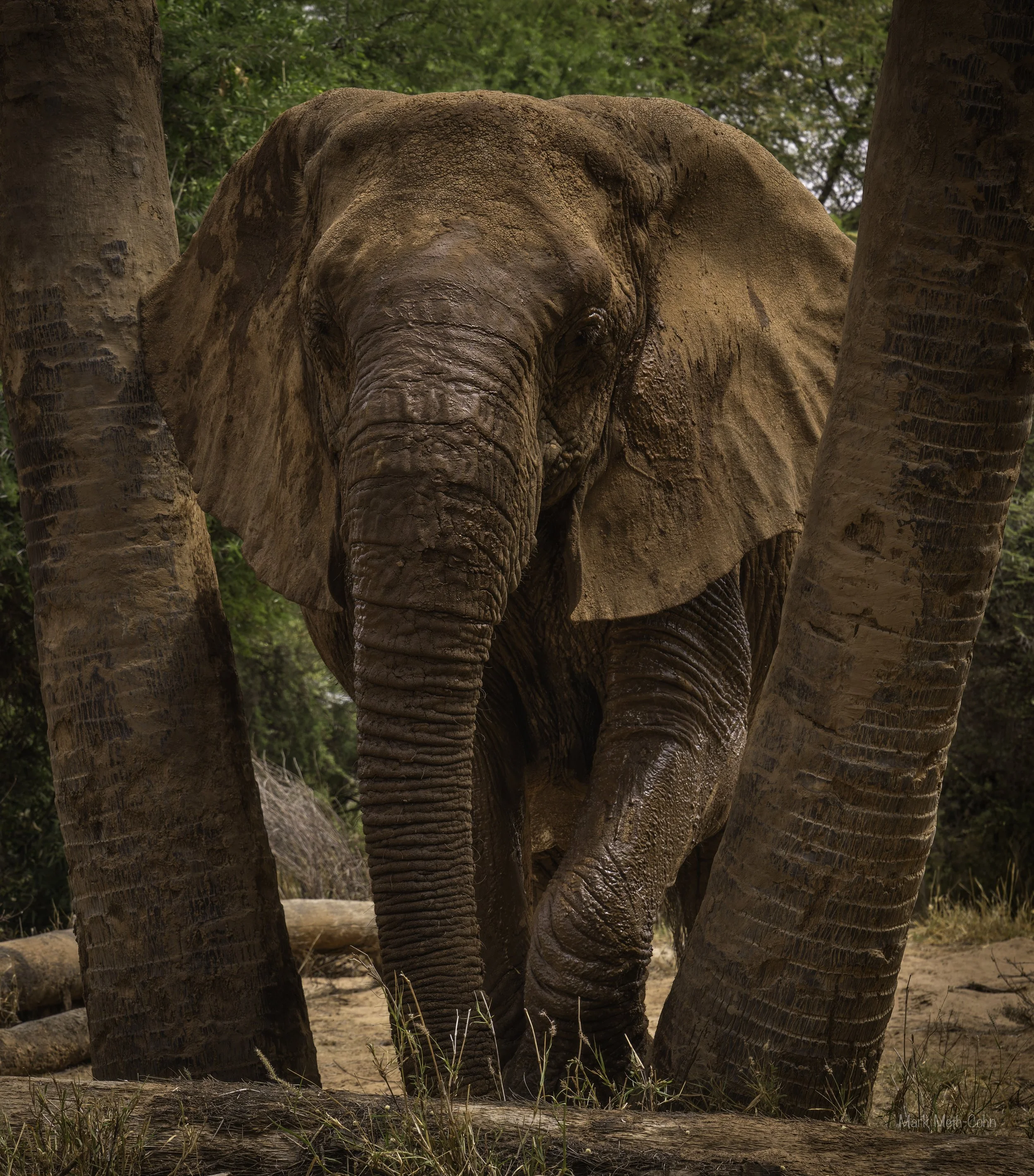 Kenya (17 of 35).jpg