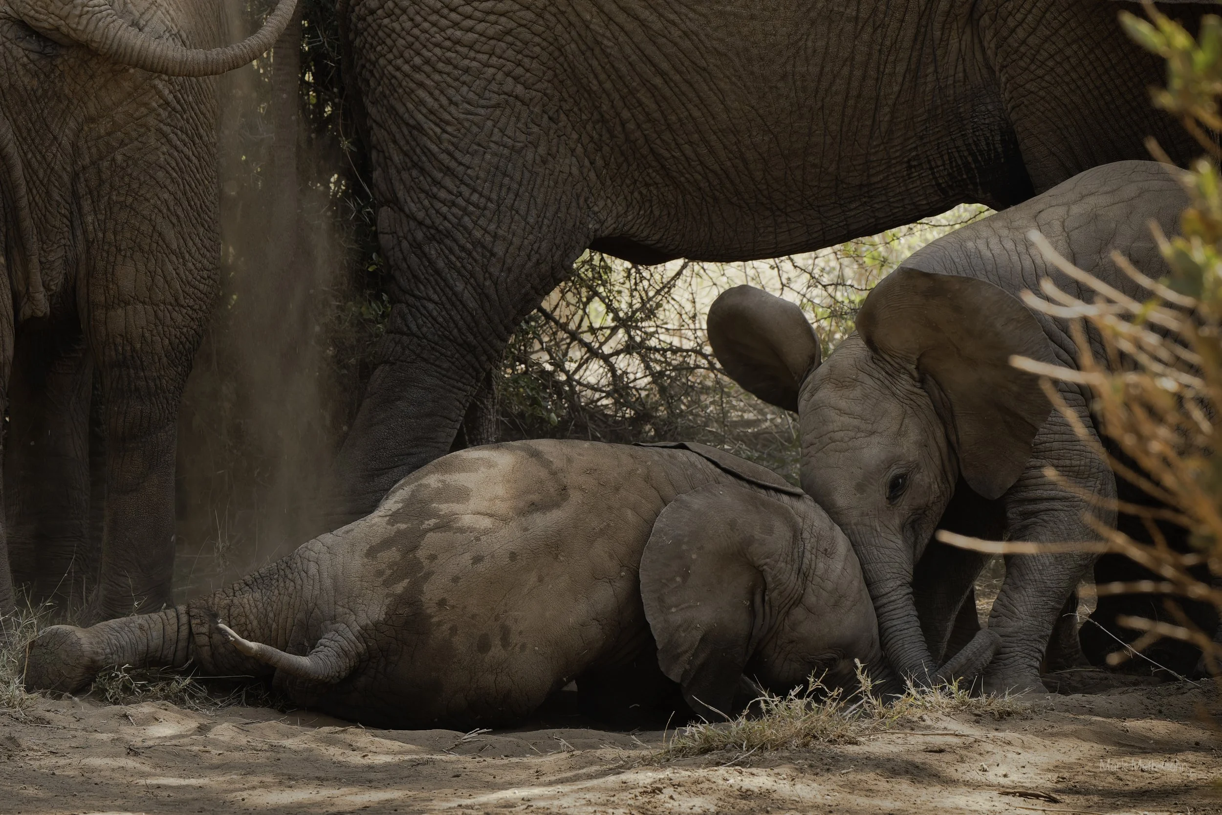 Kenya (25 of 35).jpg