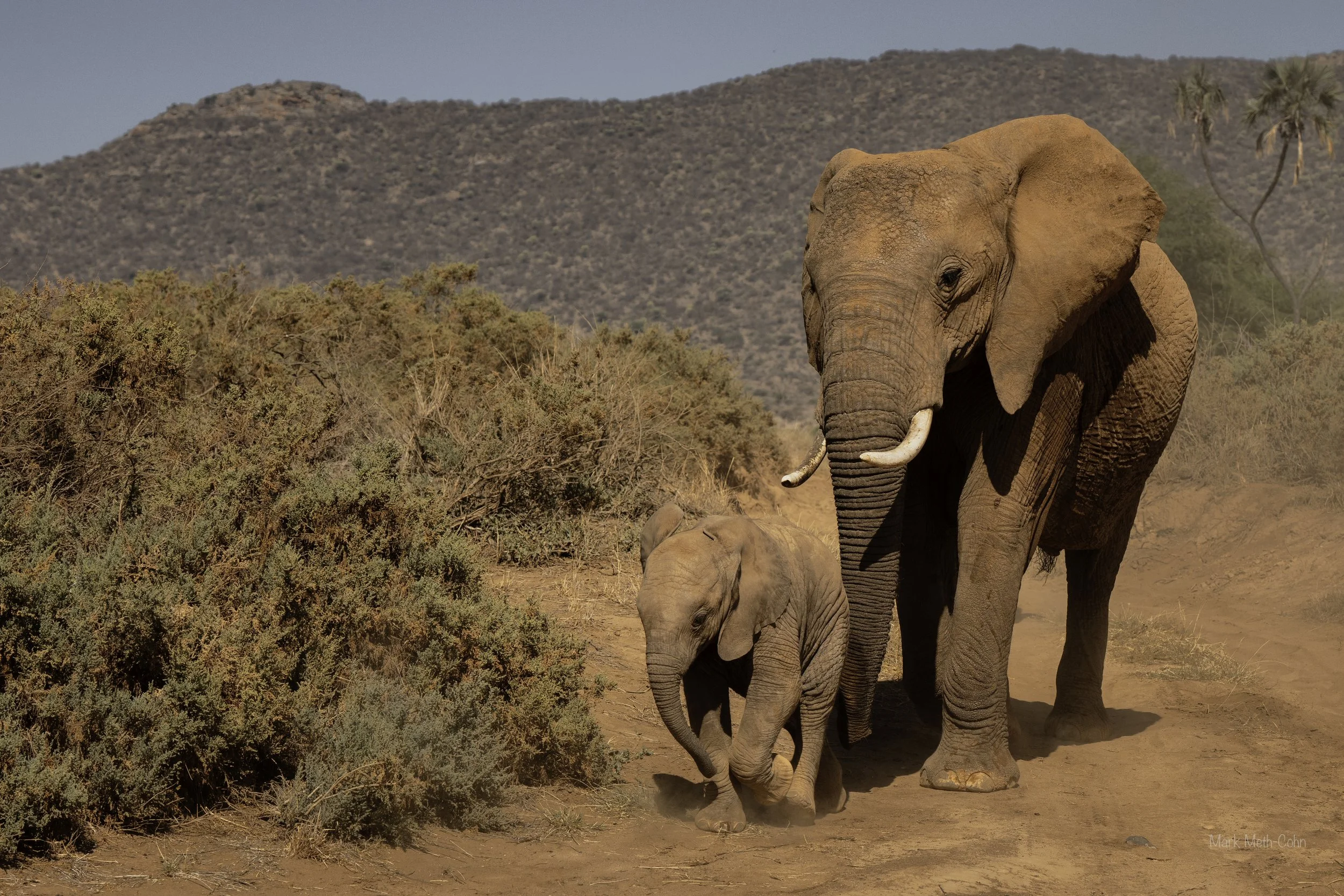 Kenya (24 of 35).jpg