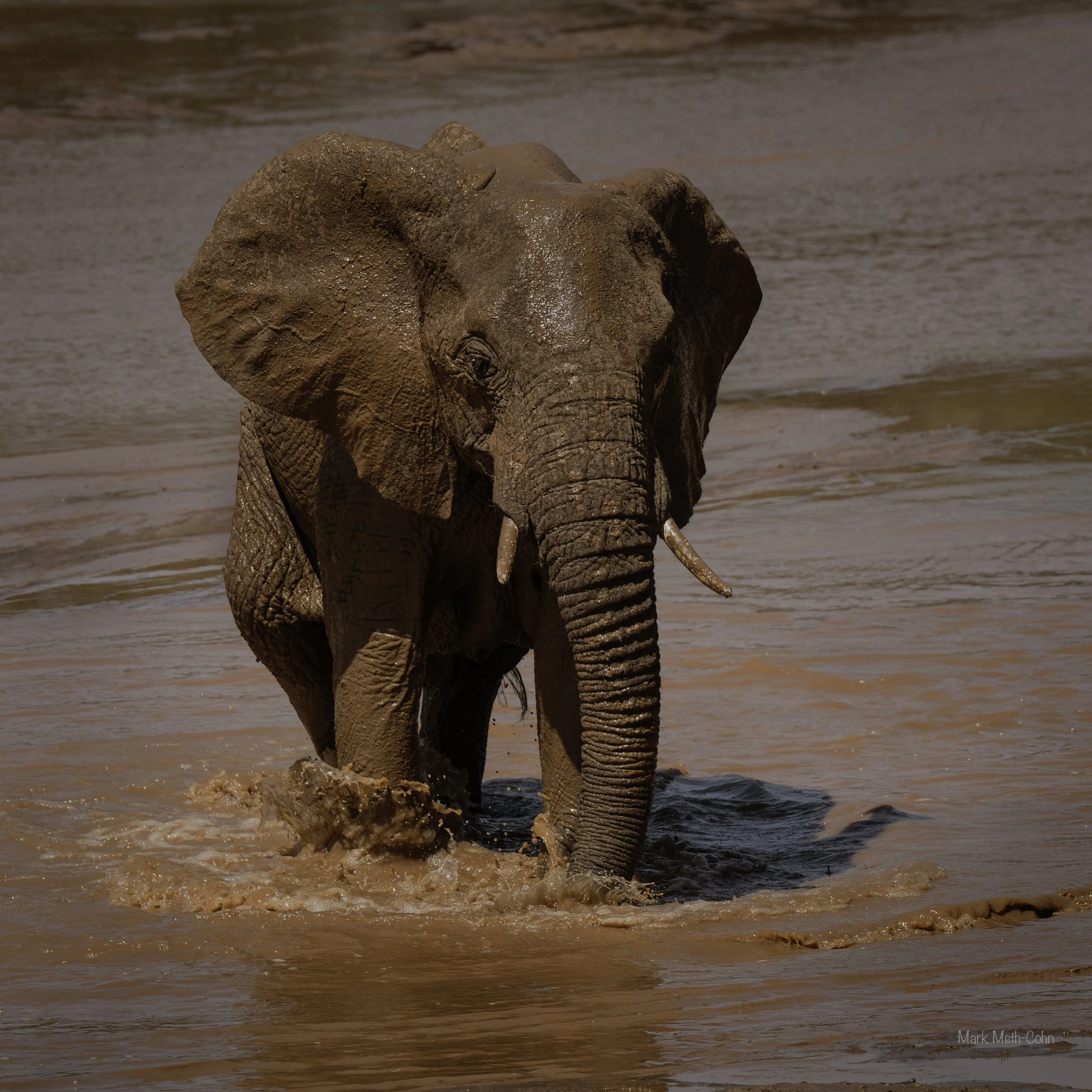 Kenya (26 of 35).jpg