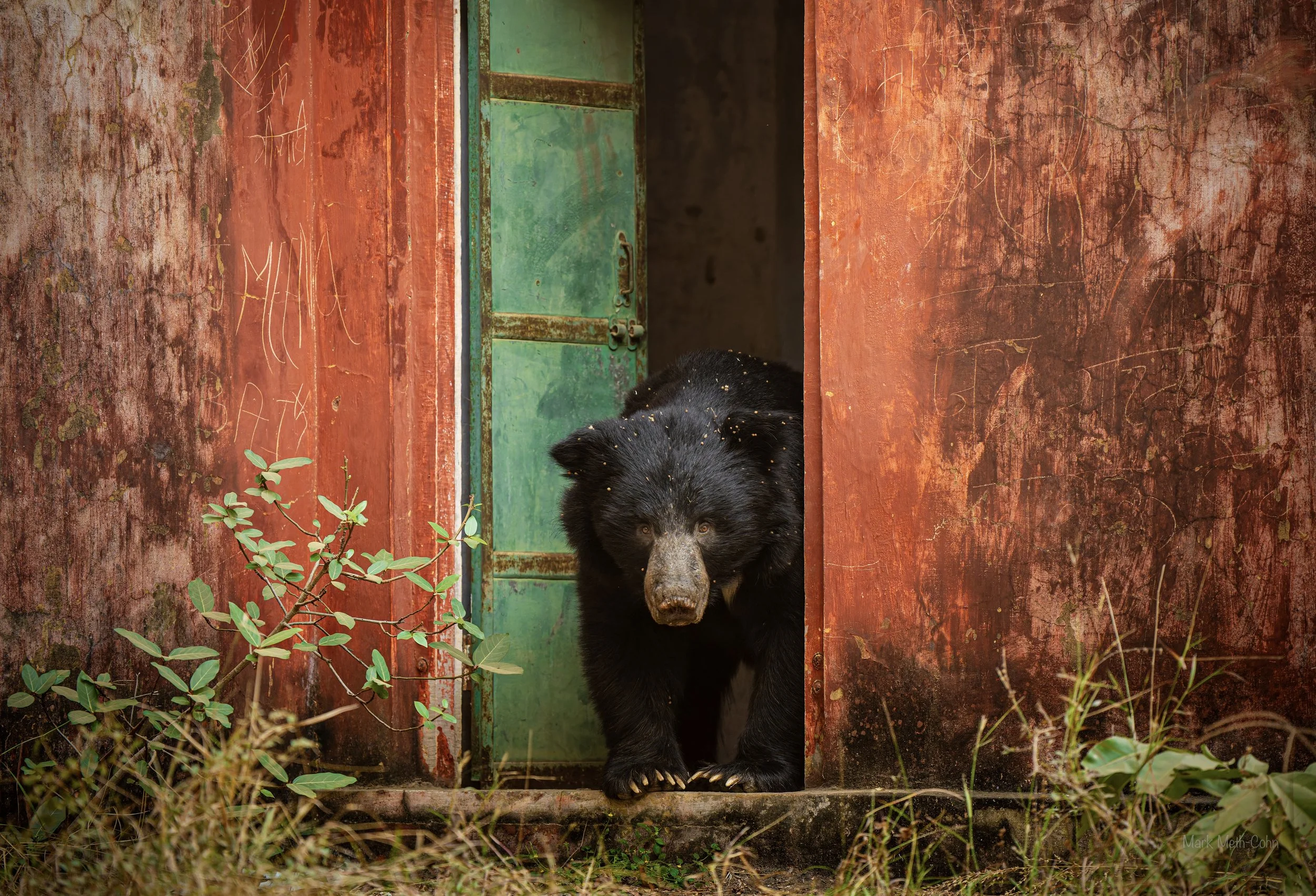 untitled (2 of 3).jpeg