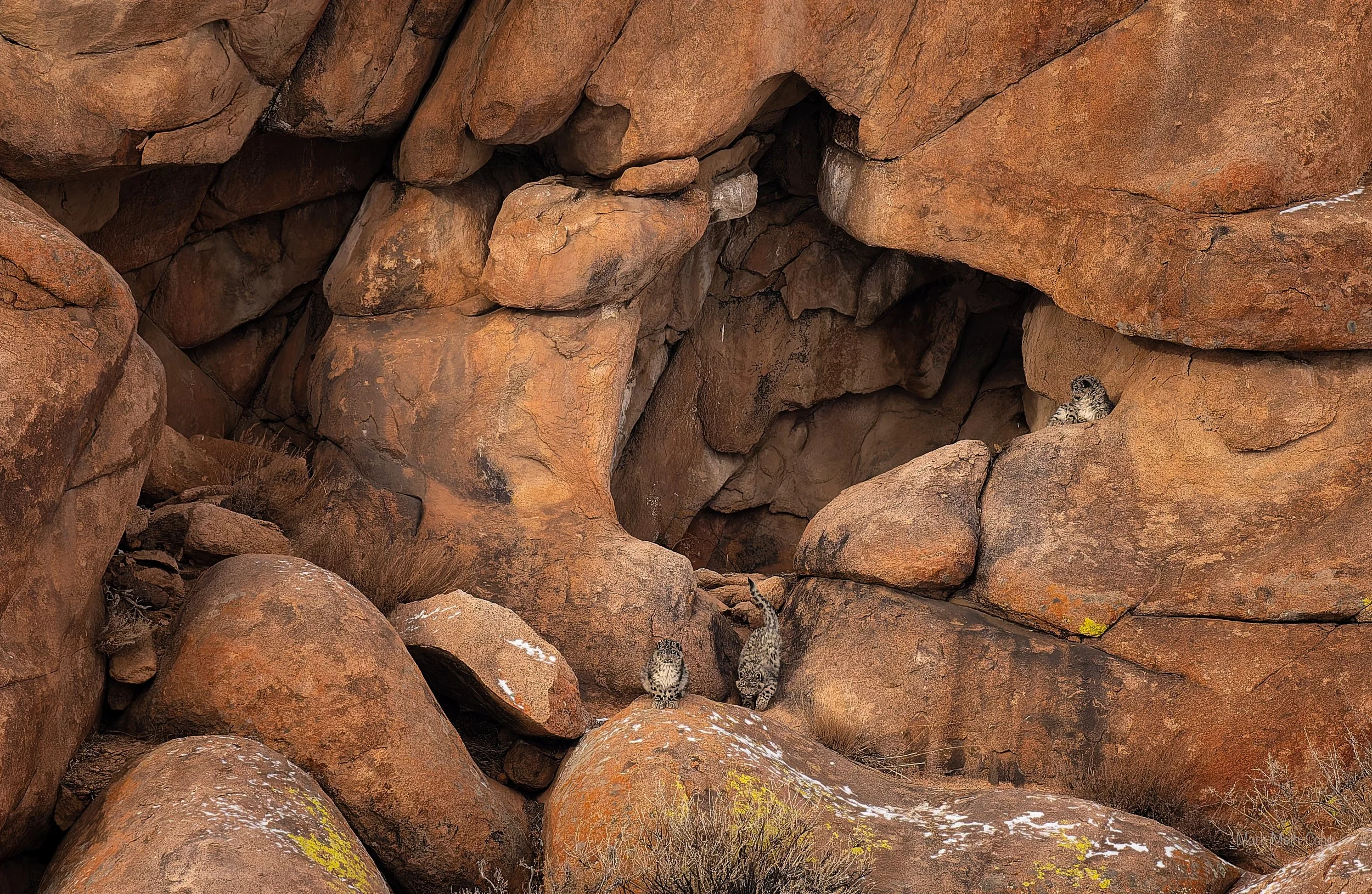 Mongolia (10 of 32).jpg