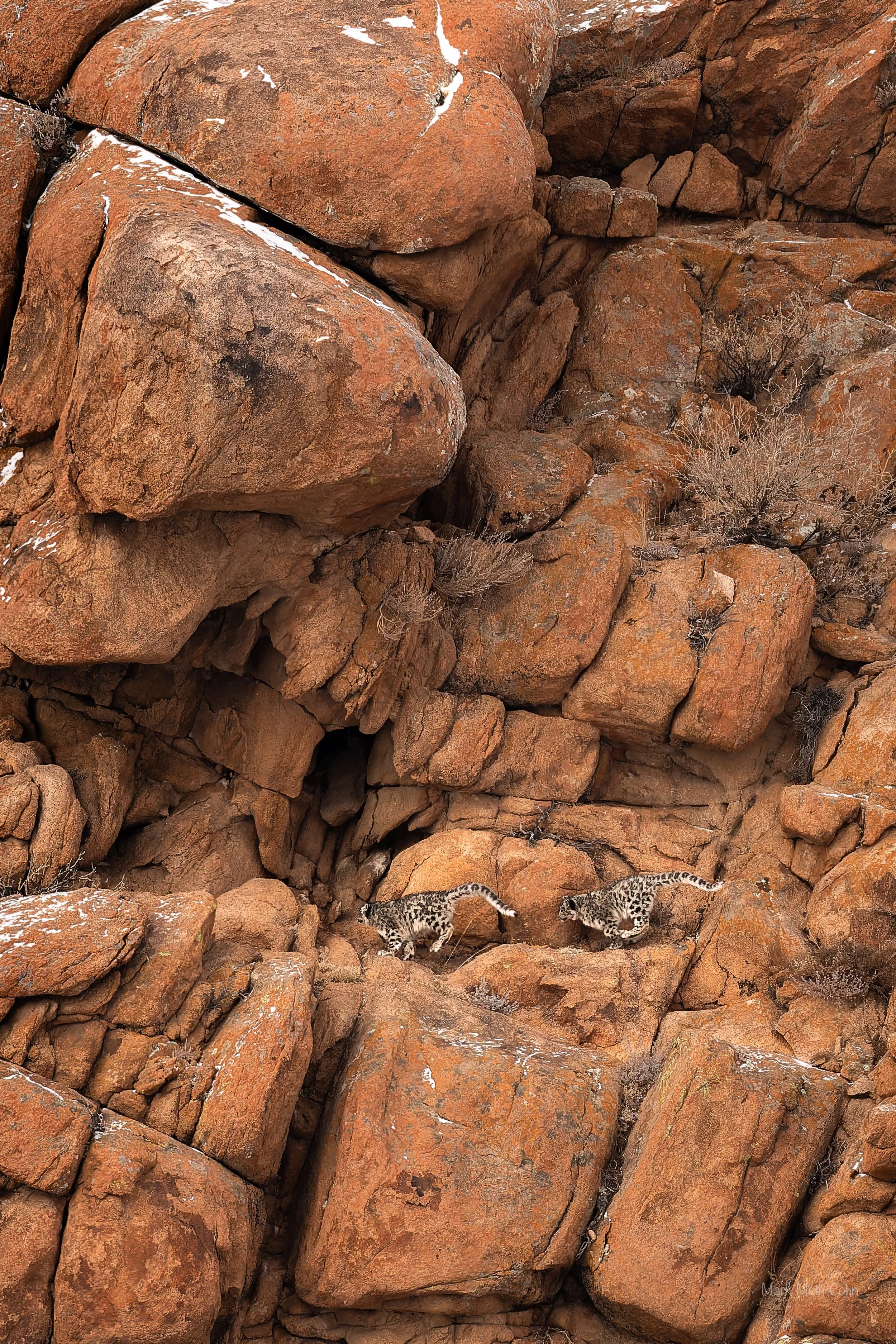 Mongolia (11 of 32).jpg