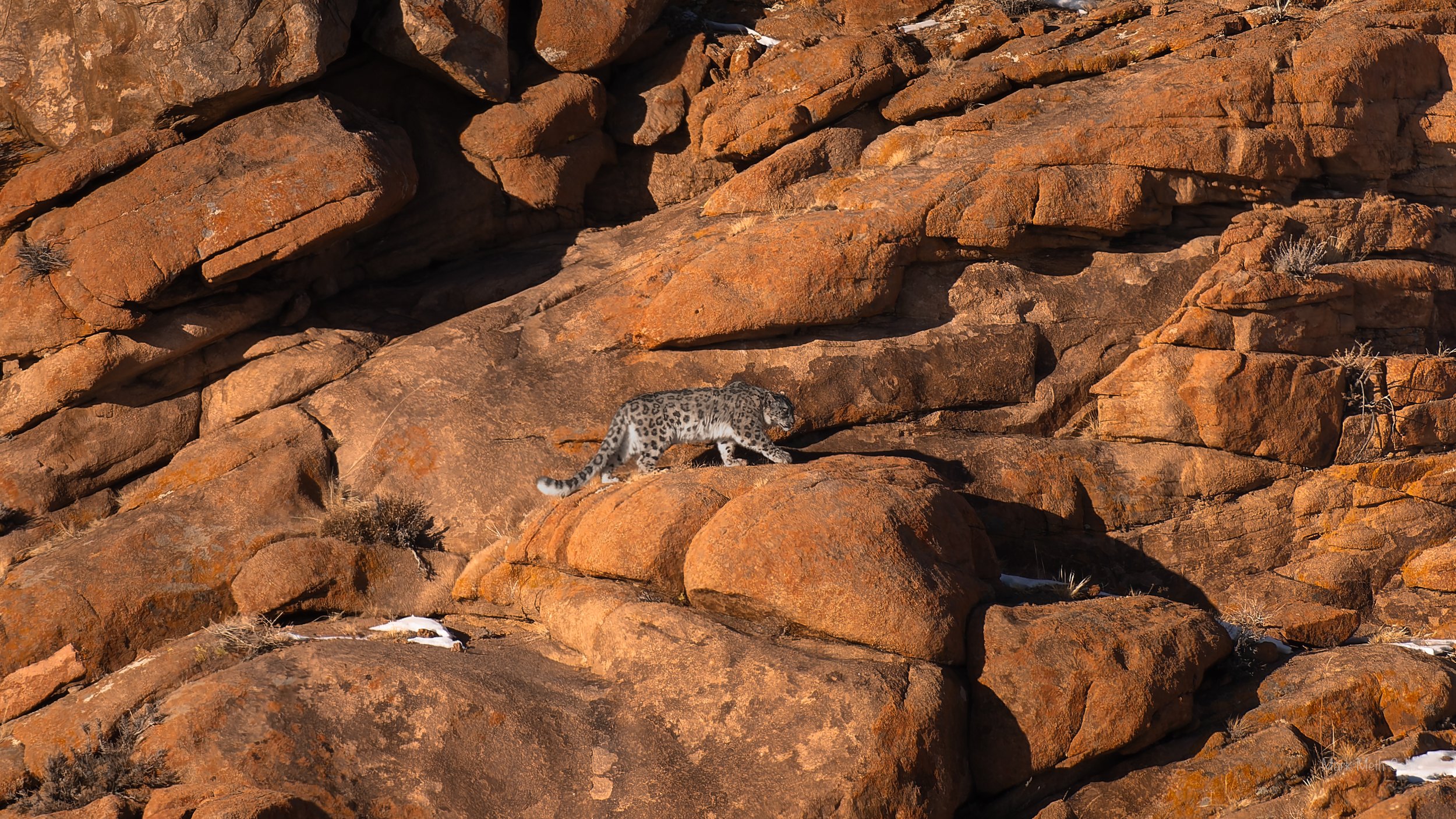 Mongolia (12 of 32).jpg