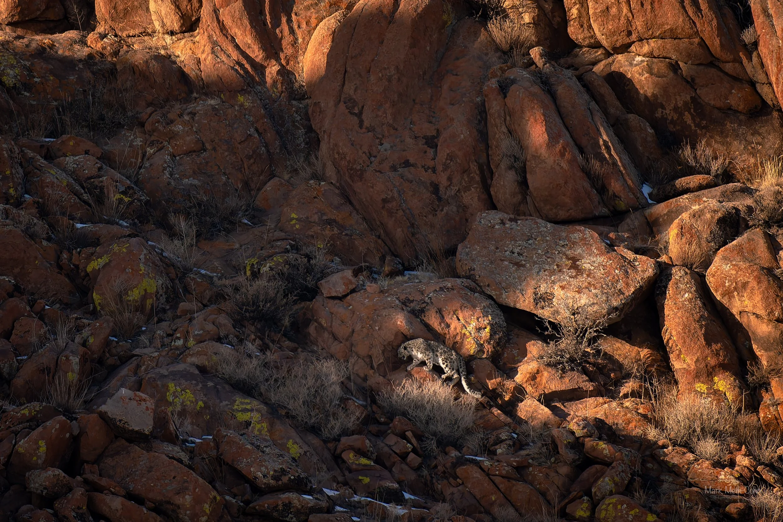 Mongolia (14 of 32).jpg