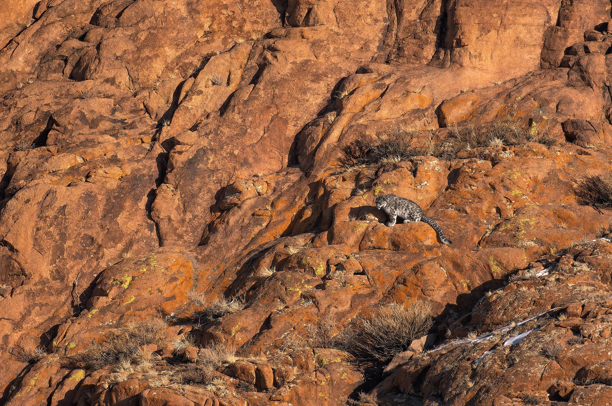 Mongolia (13 of 32).jpg