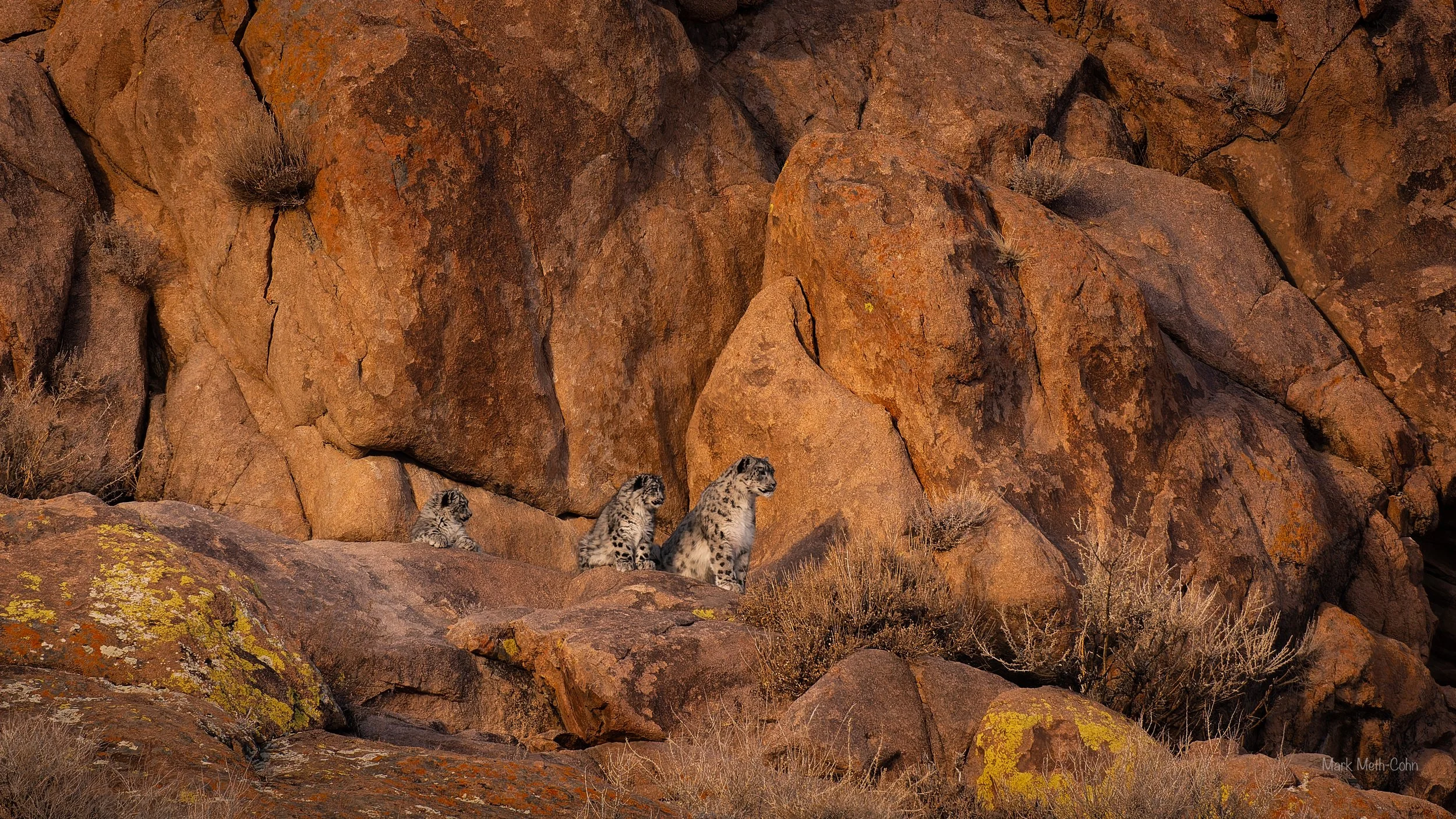 Mongolia (18 of 32).jpg