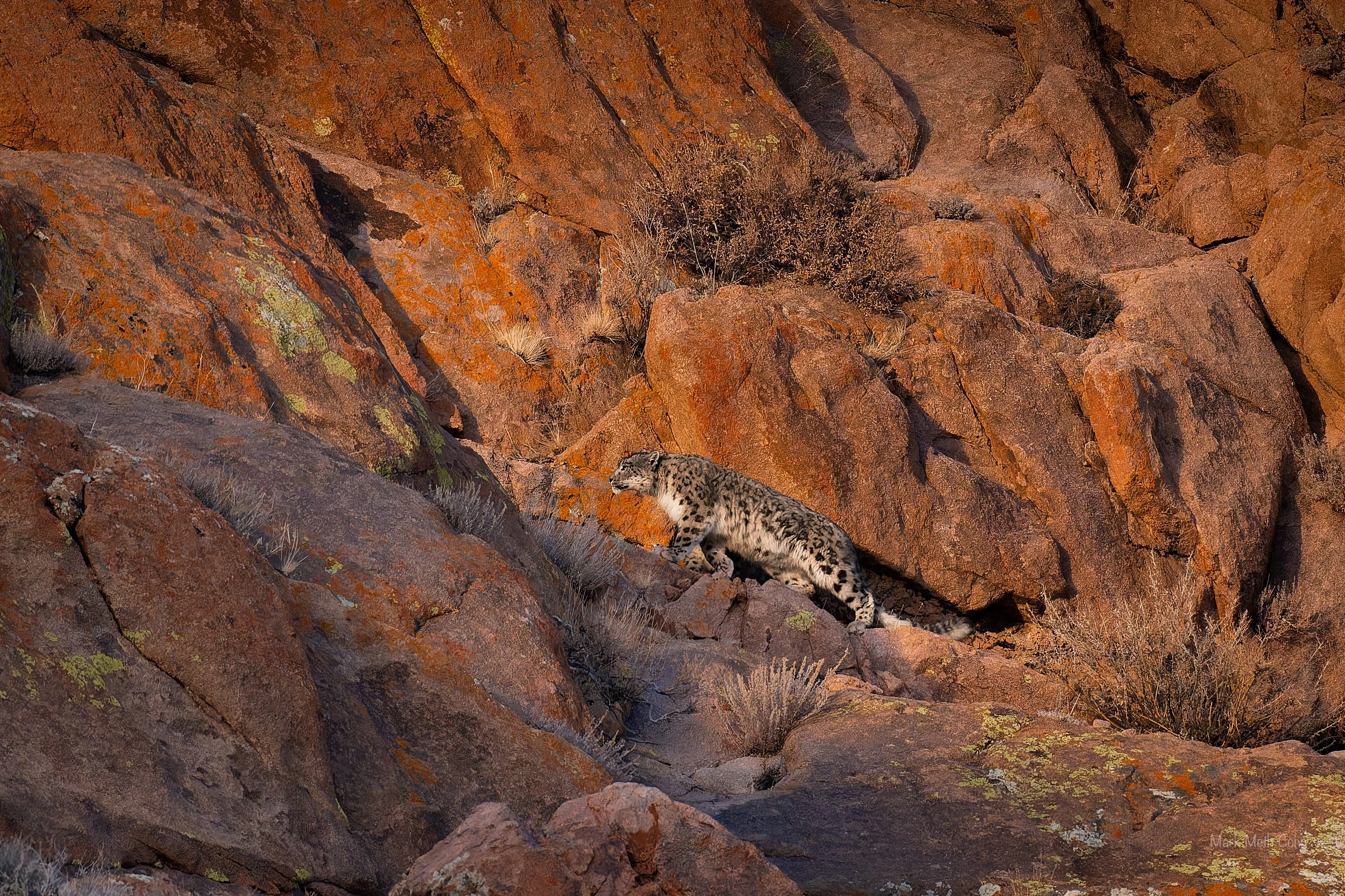 Mongolia (19 of 32).jpg