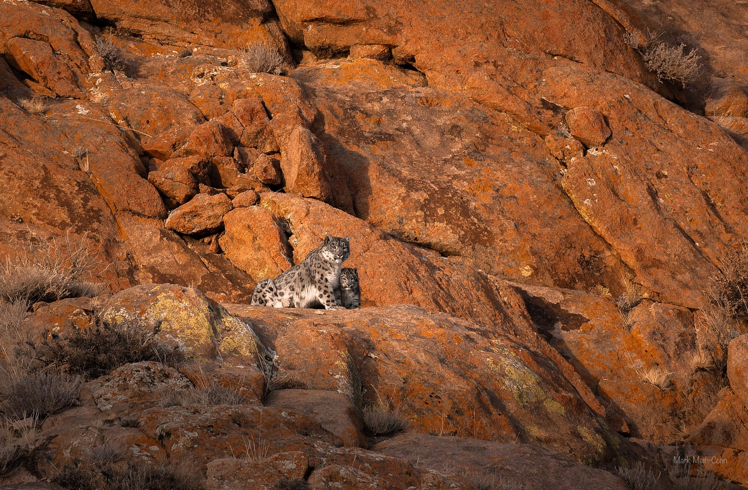 Mongolia (20 of 32).jpg