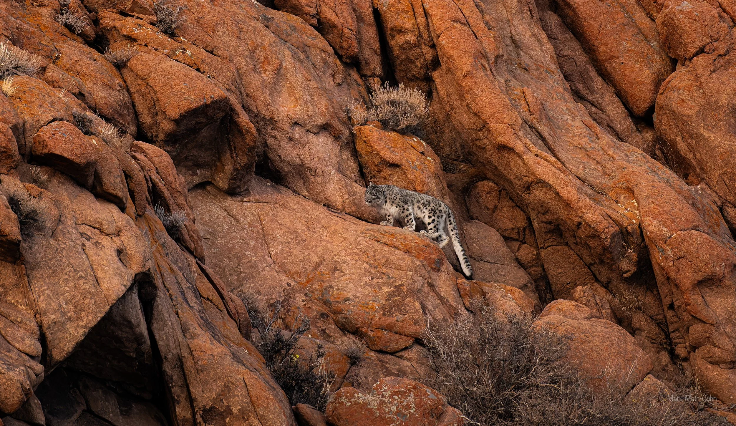 Mongolia (21 of 32).jpg