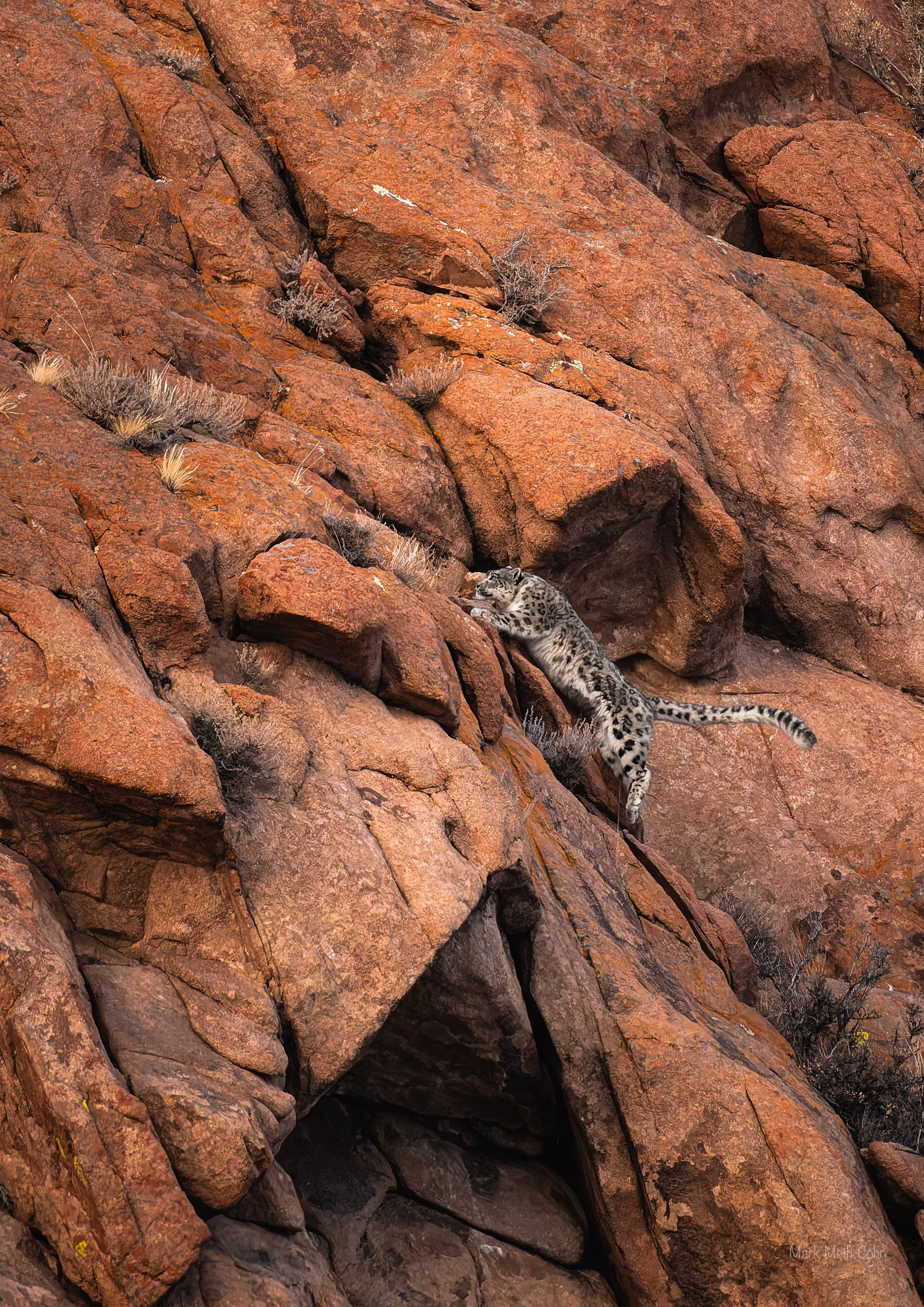 Mongolia (22 of 32).jpg