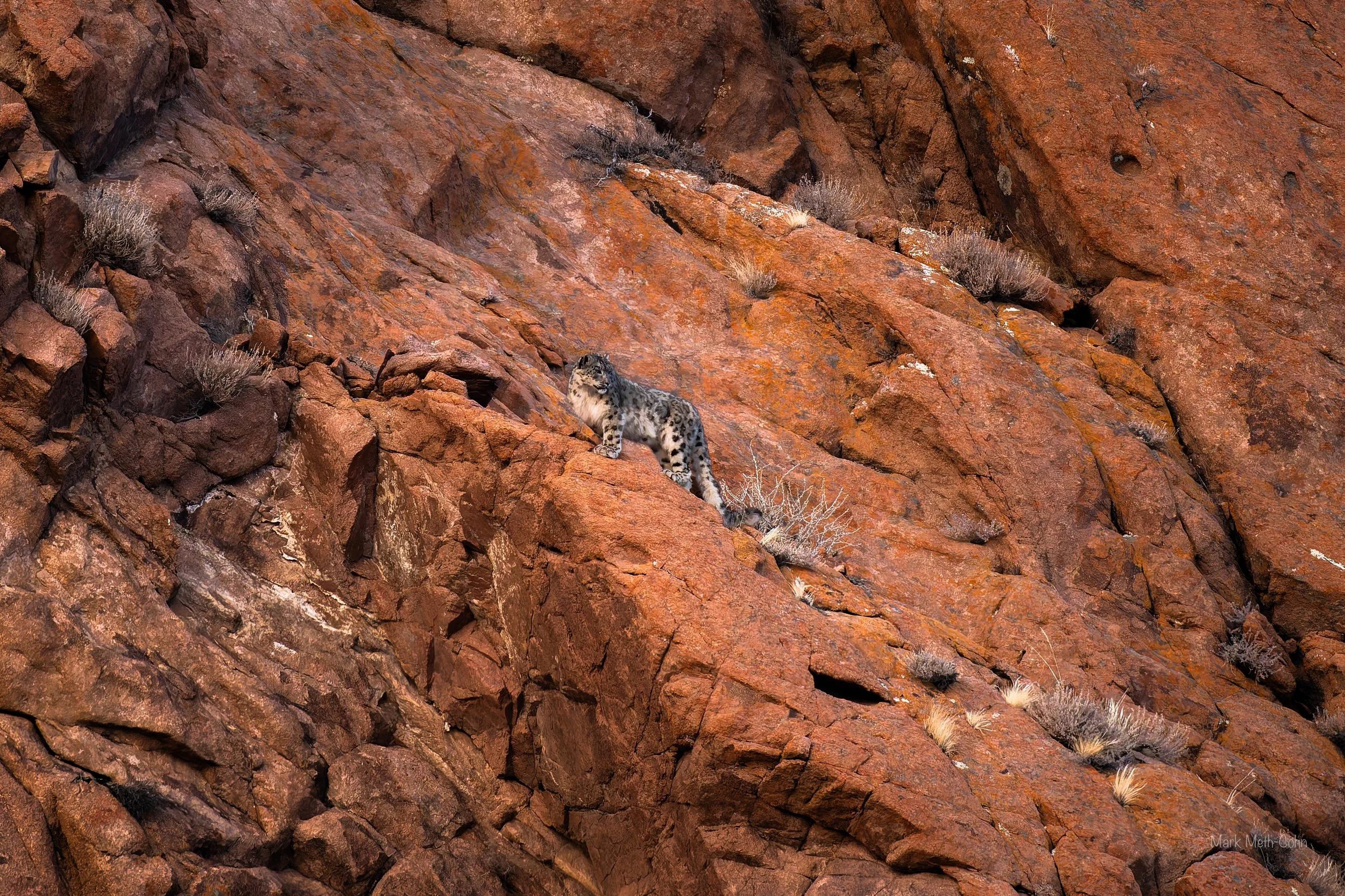 Mongolia (24 of 32).jpg