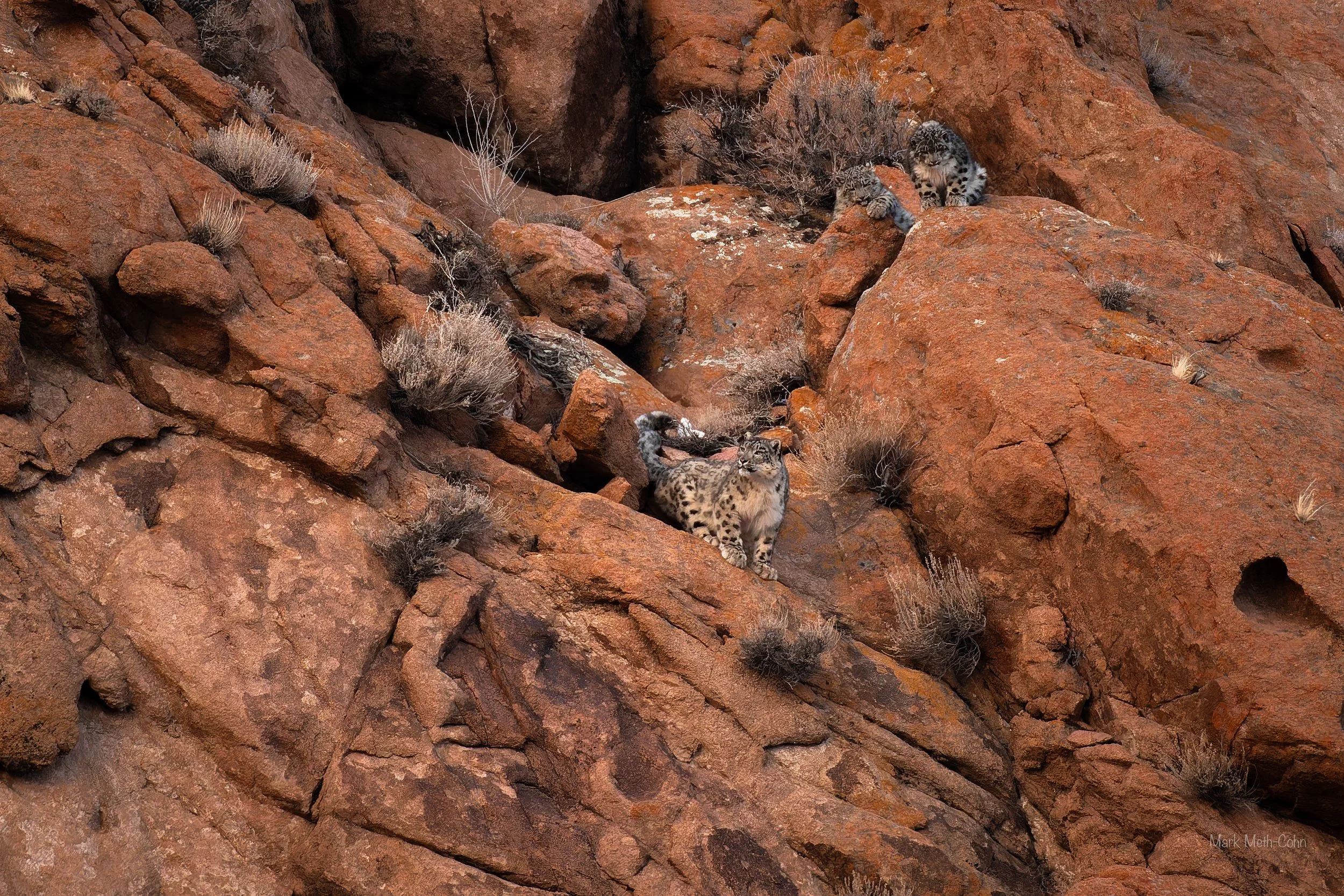 Mongolia (25 of 32).jpg