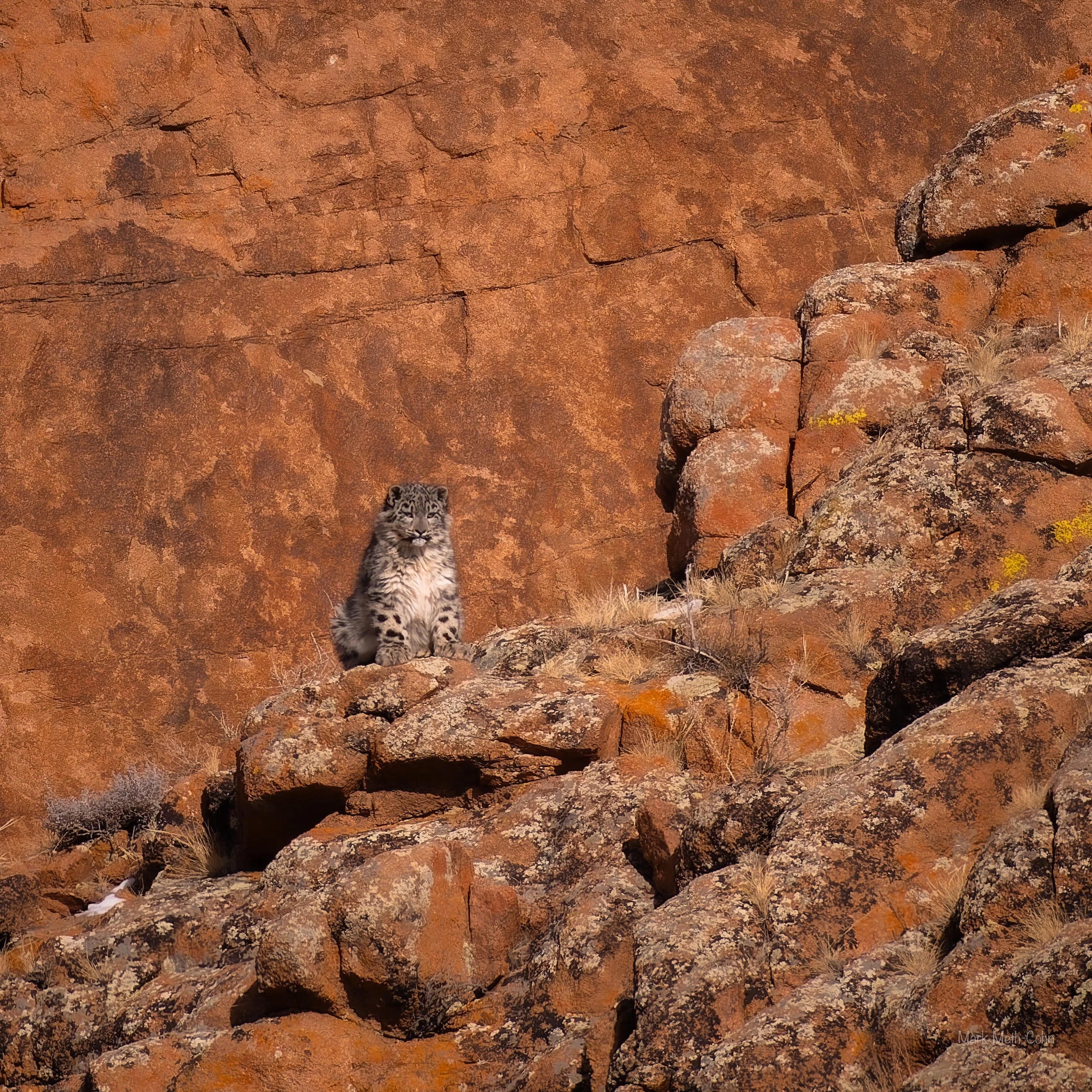 Mongolia (26 of 32).jpg