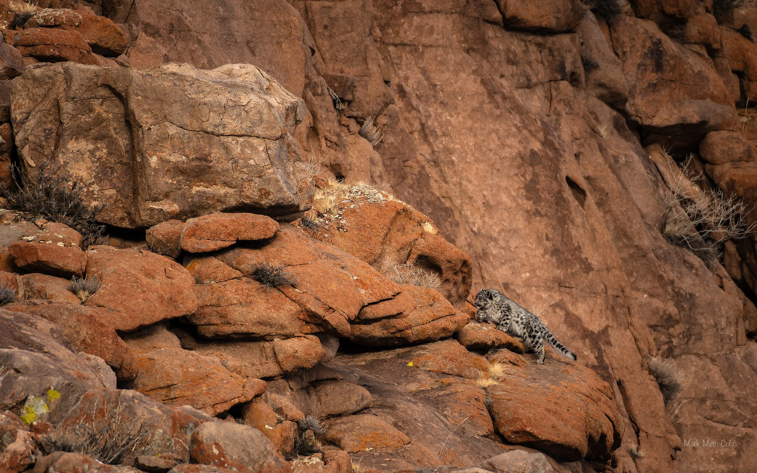 Mongolia (30 of 32).jpg