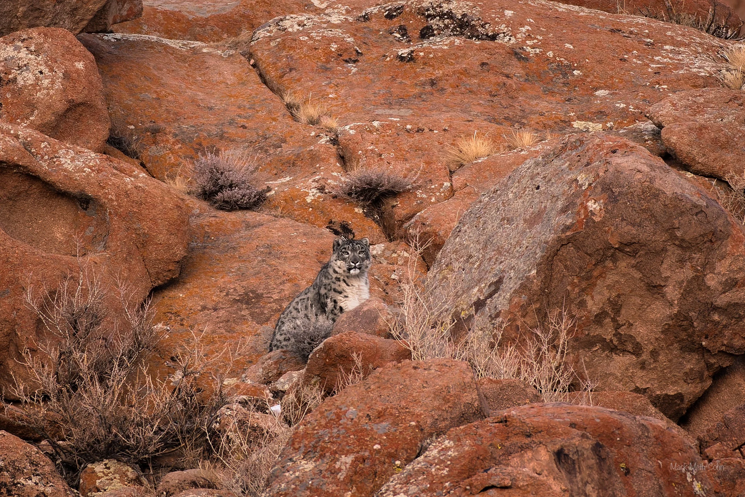 Mongolia (31 of 32).jpg