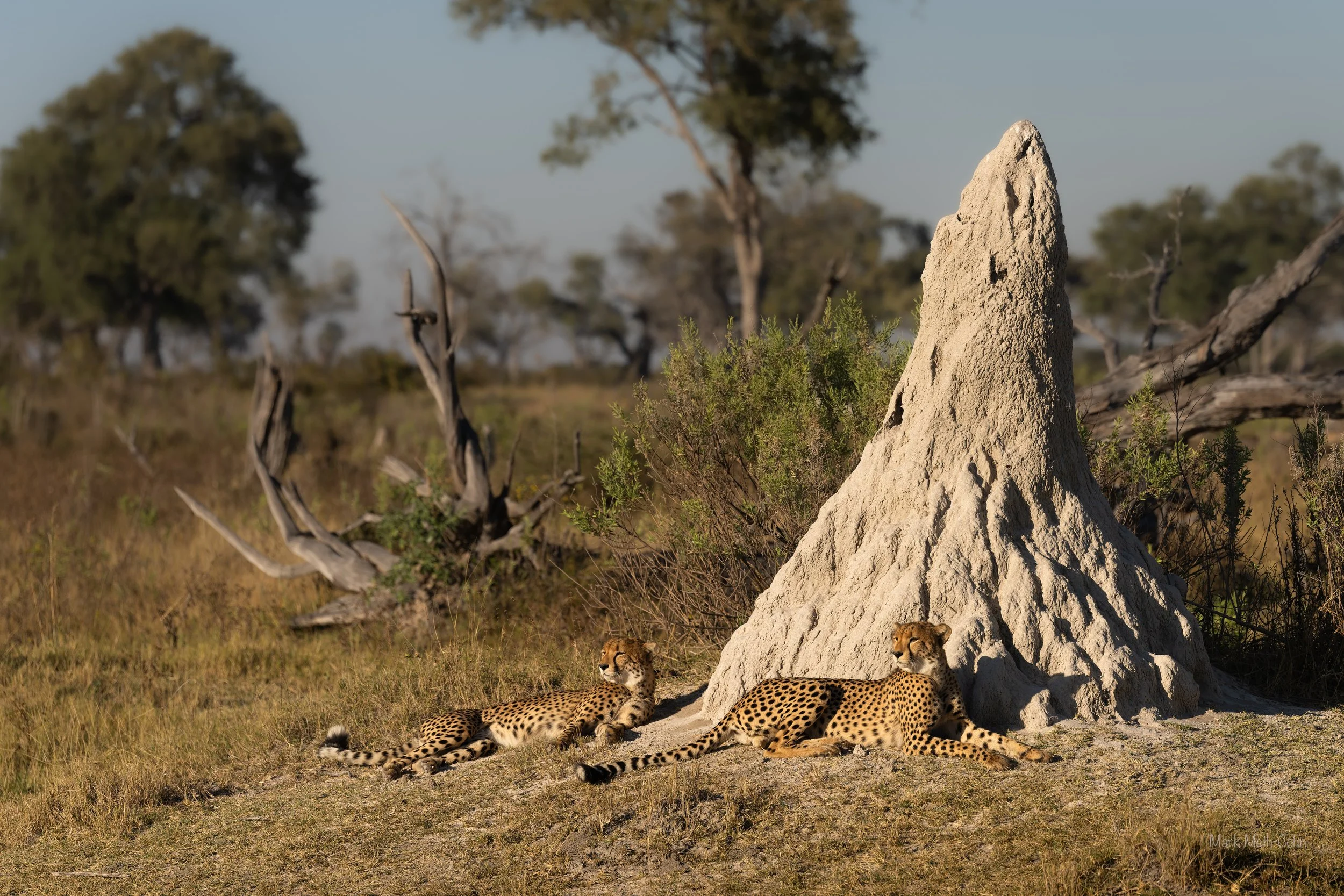 Botswana (15 of 26).jpg