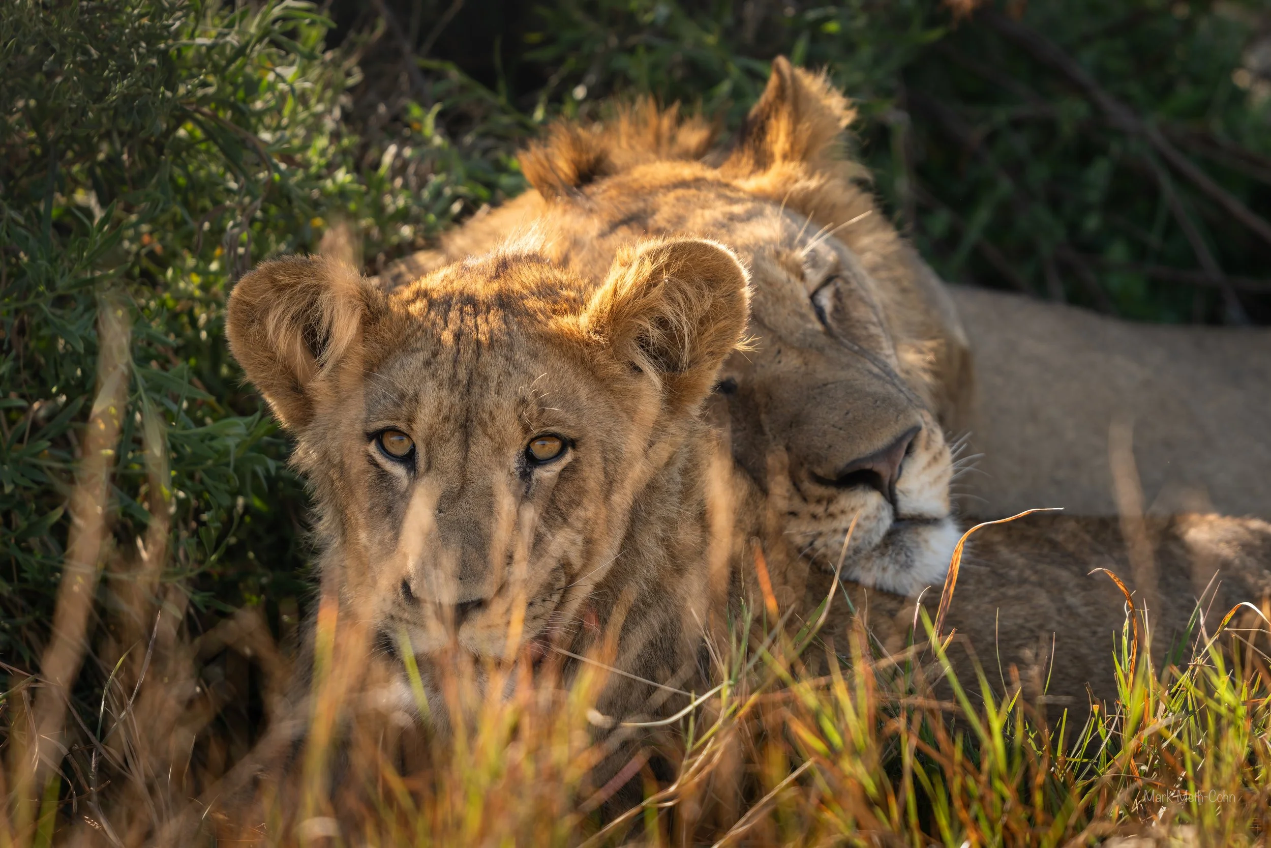 Botswana (19 of 26).jpg