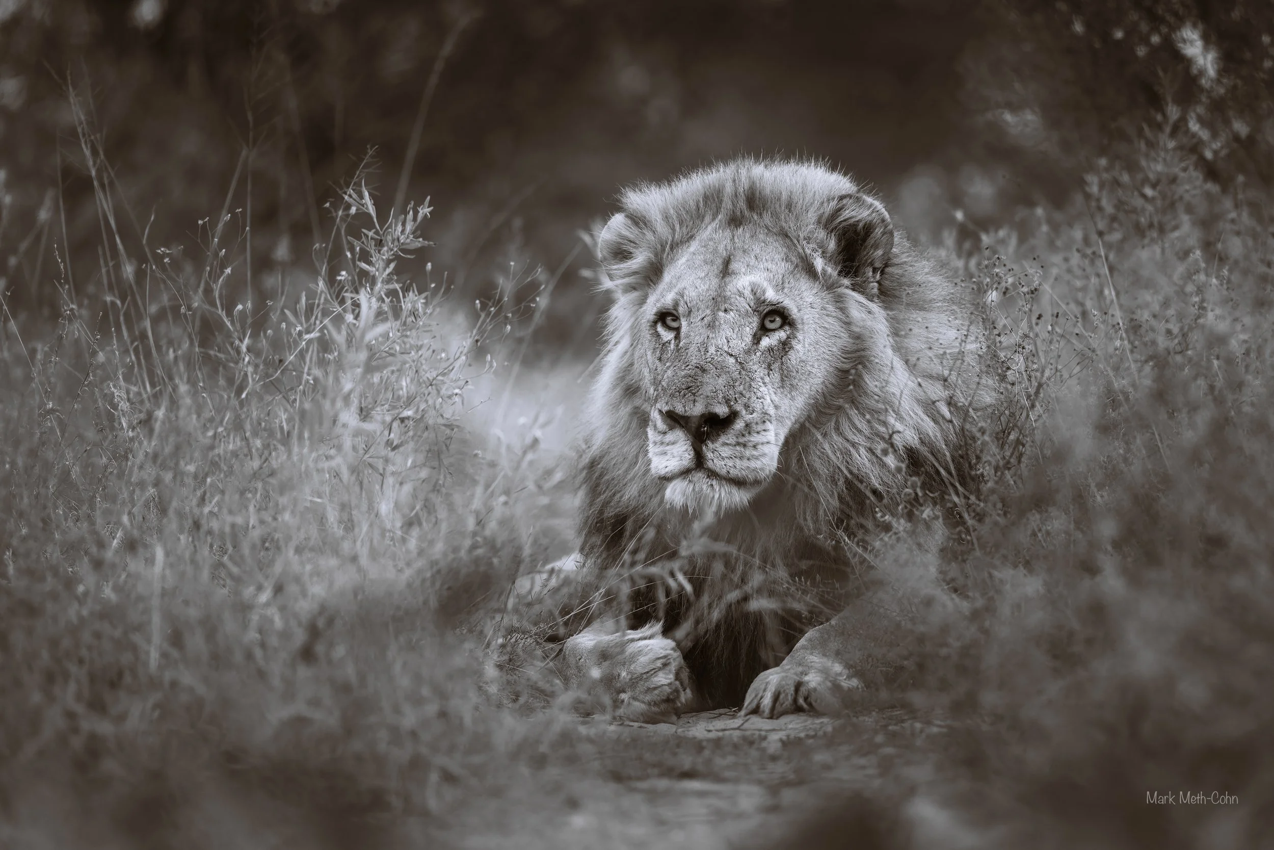 Botswana (22 of 26).jpg