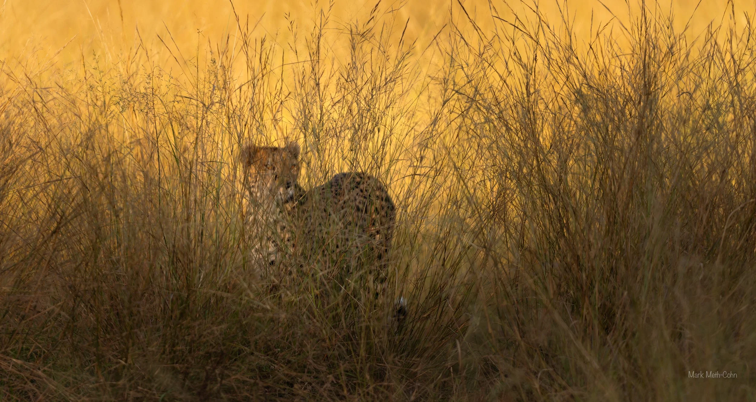 Botswana (3 of 26).jpg