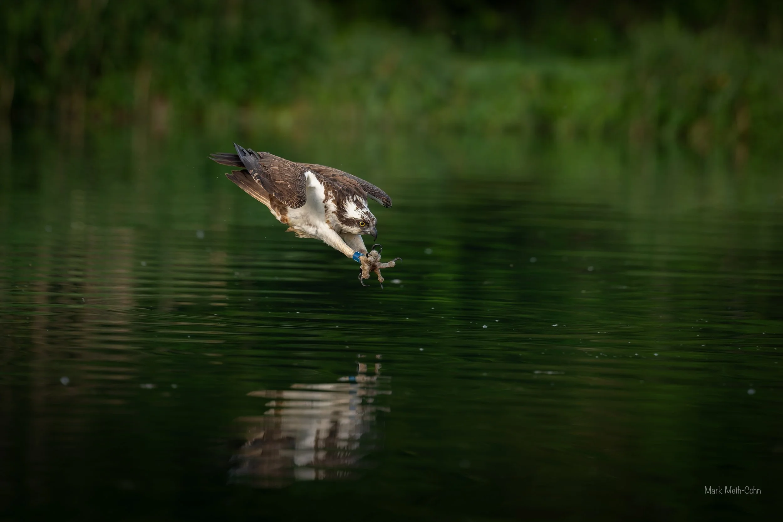 Rutland (4 of 10).jpg
