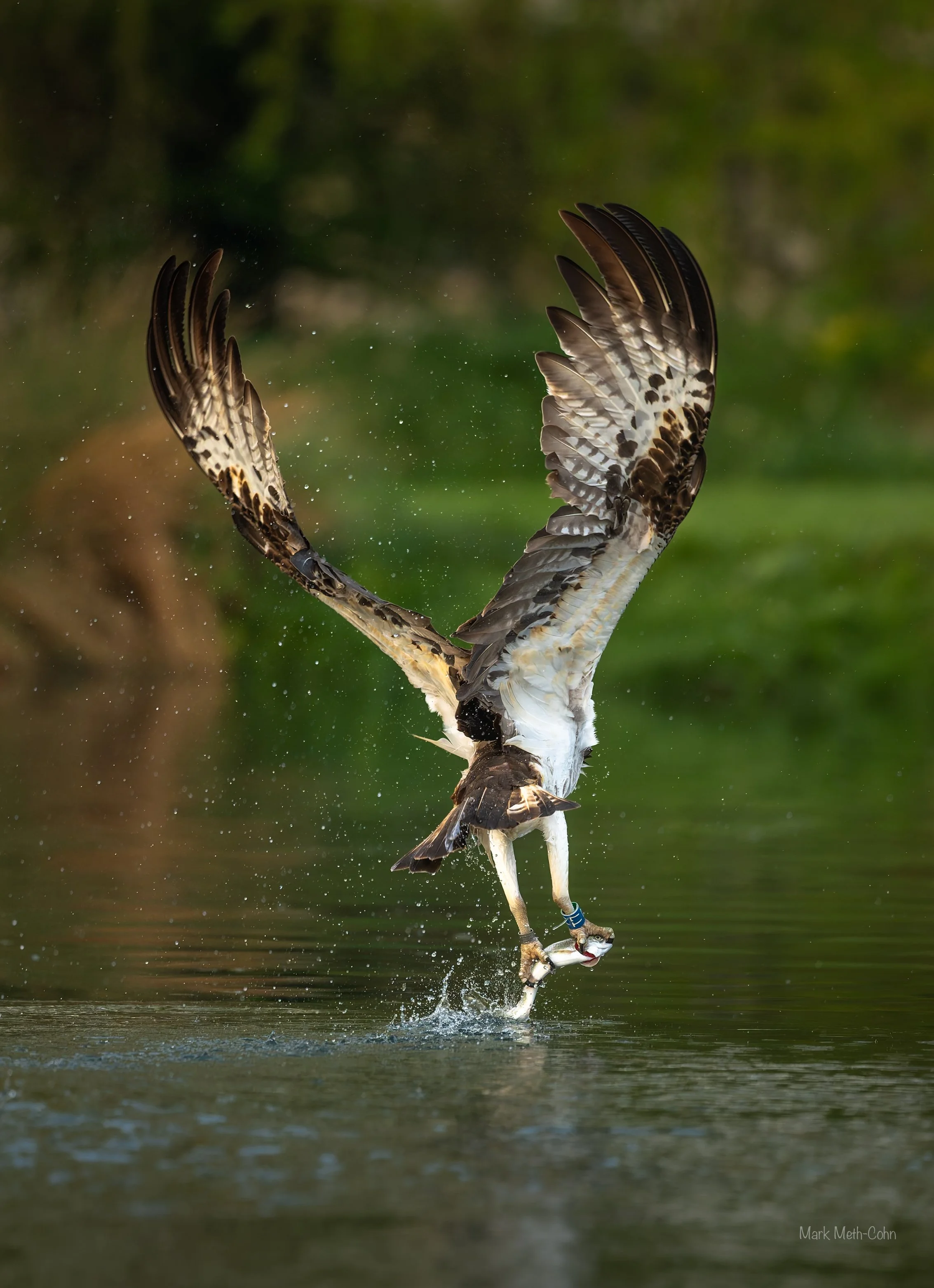 Rutland (5 of 10).jpg
