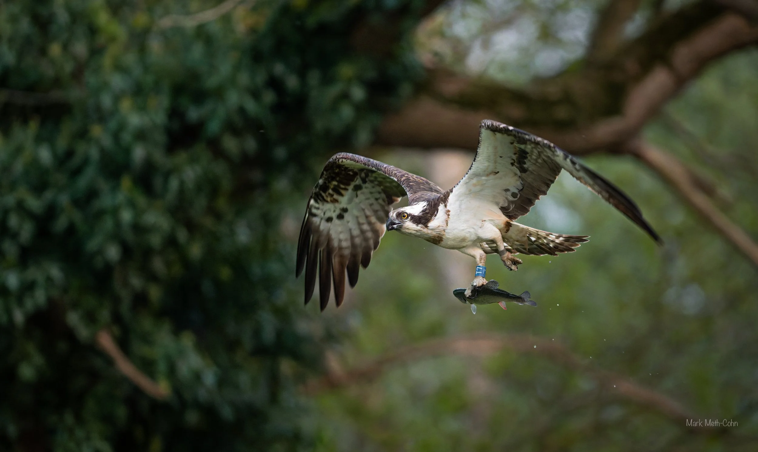 Rutland (1 of 10).jpg