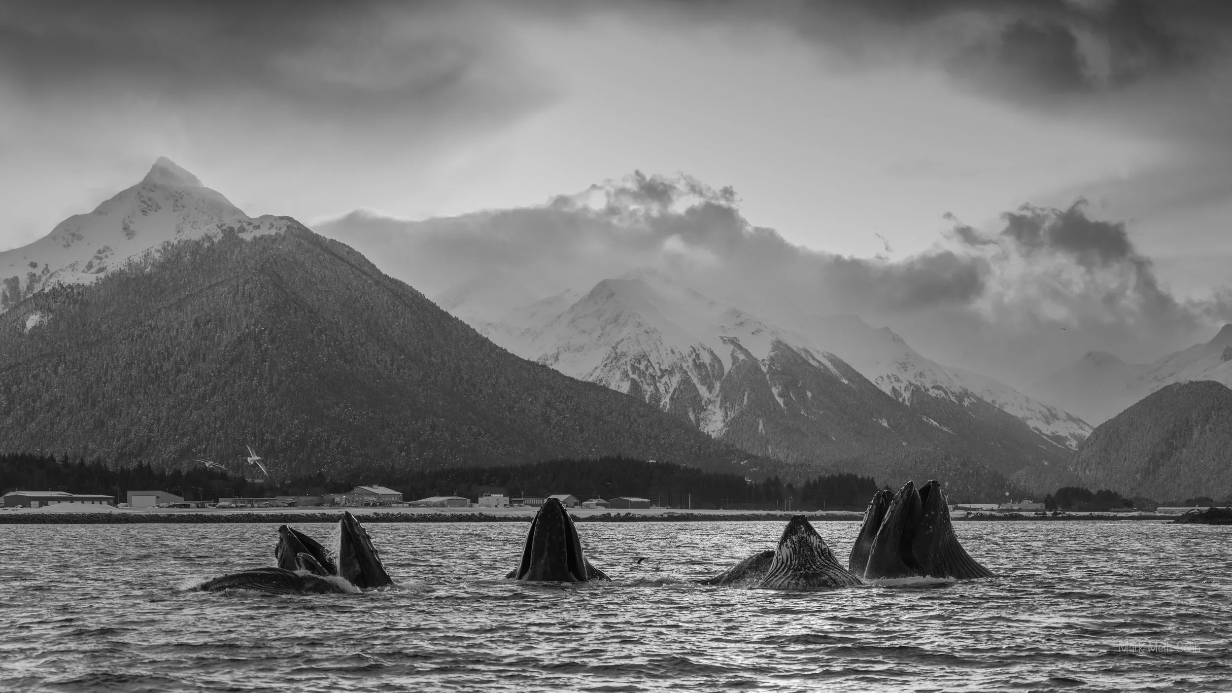 Alaska (29 of 32).jpg