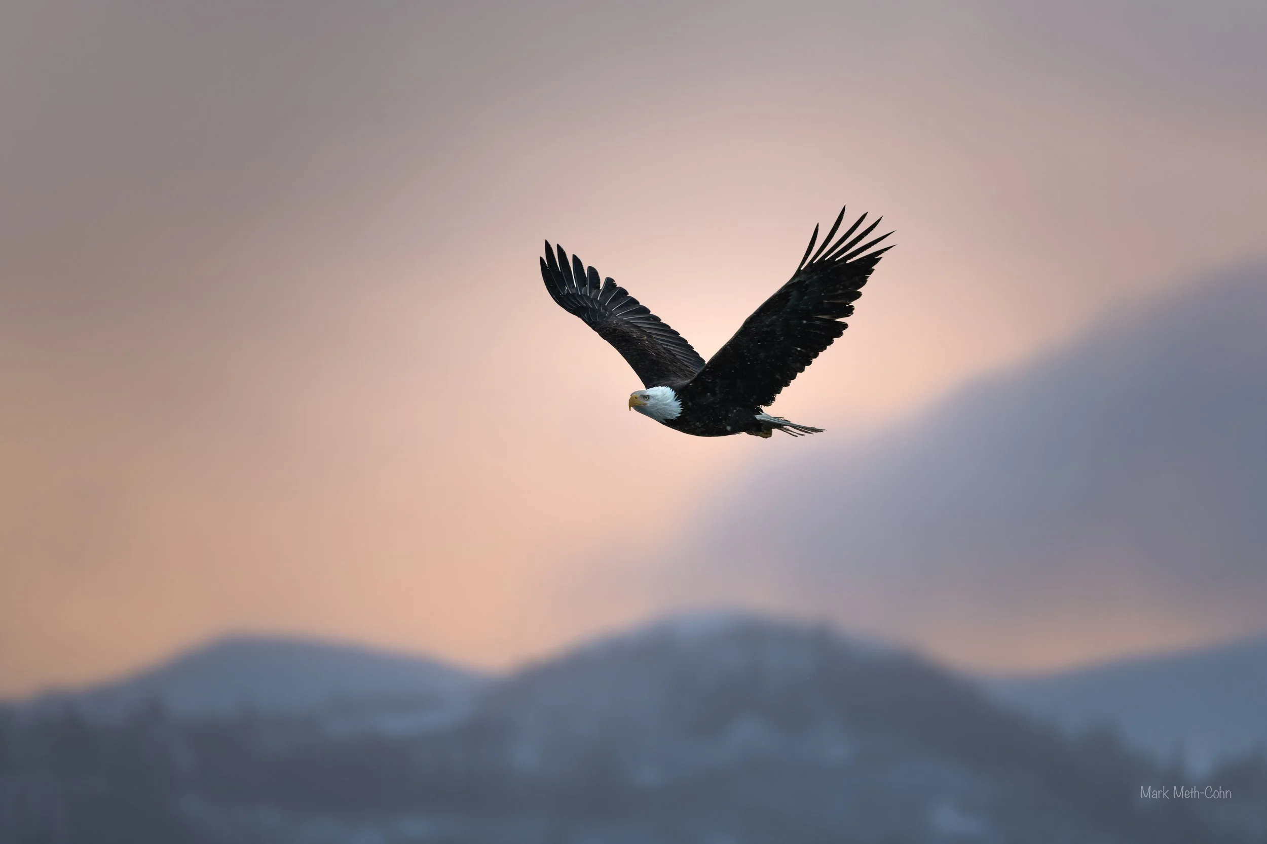 Alaska (17 of 32).jpg