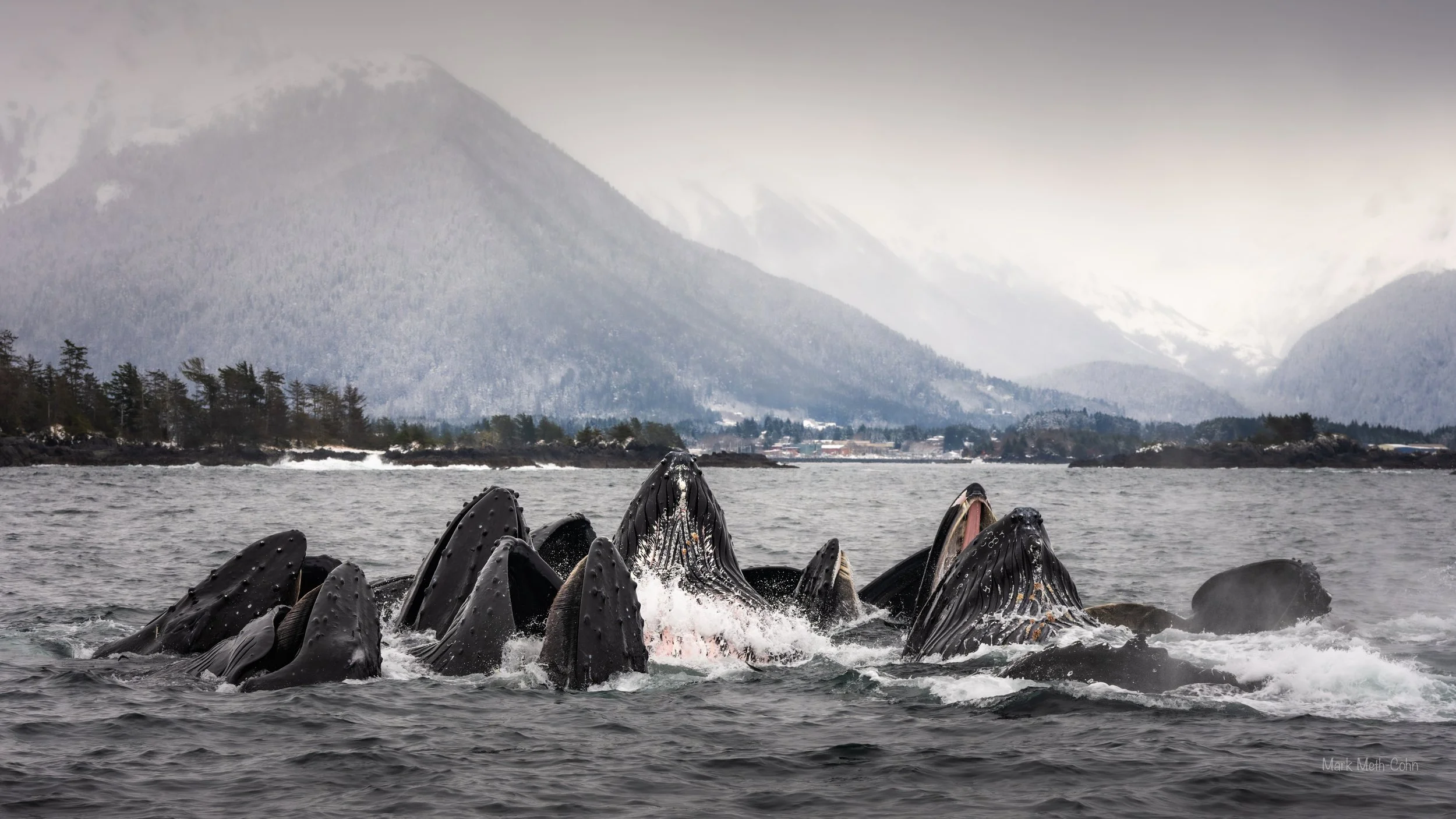 Alaska (24 of 32).jpg