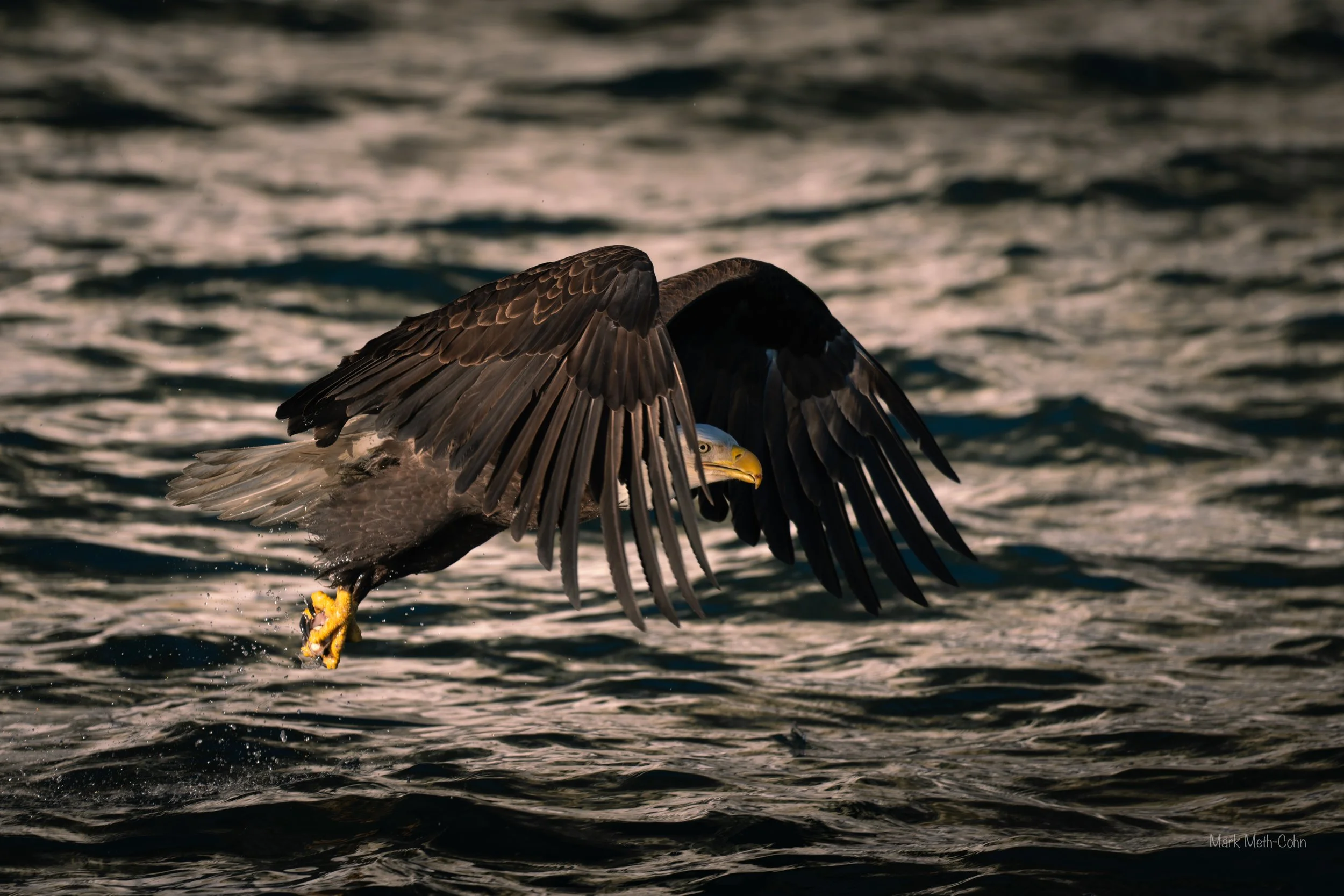 Alaska (1 of 32).jpg