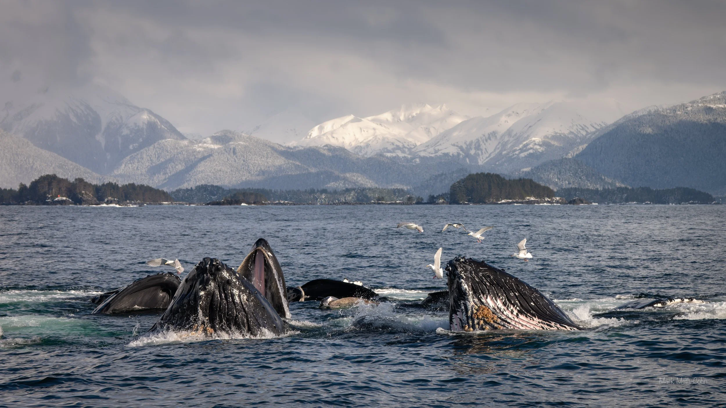 Alaska (28 of 32).jpg