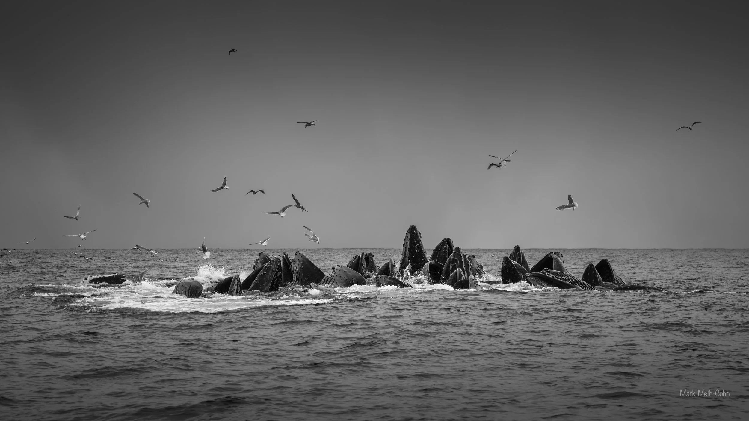 Alaska (25 of 32).jpg