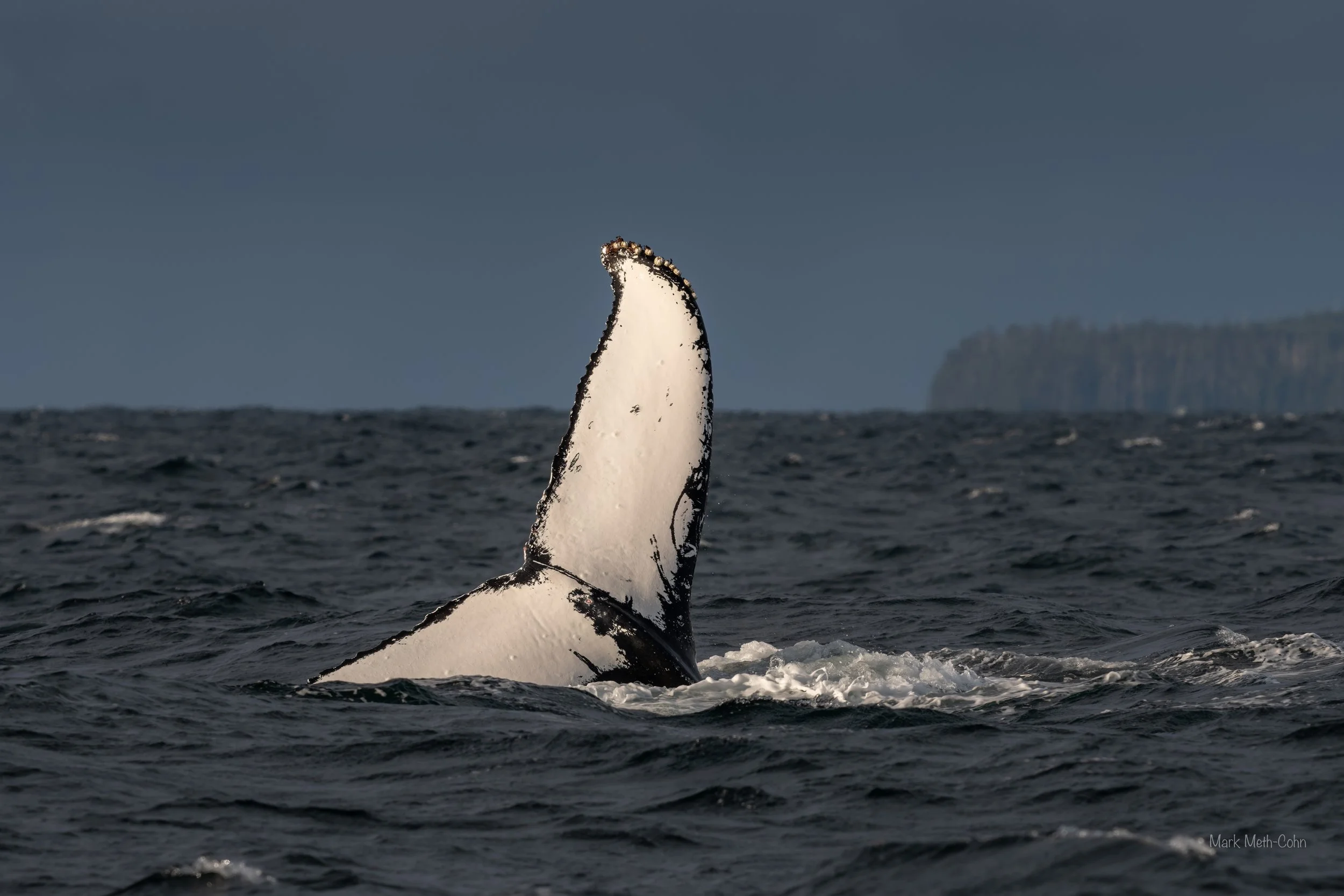 Alaska (22 of 32).jpg
