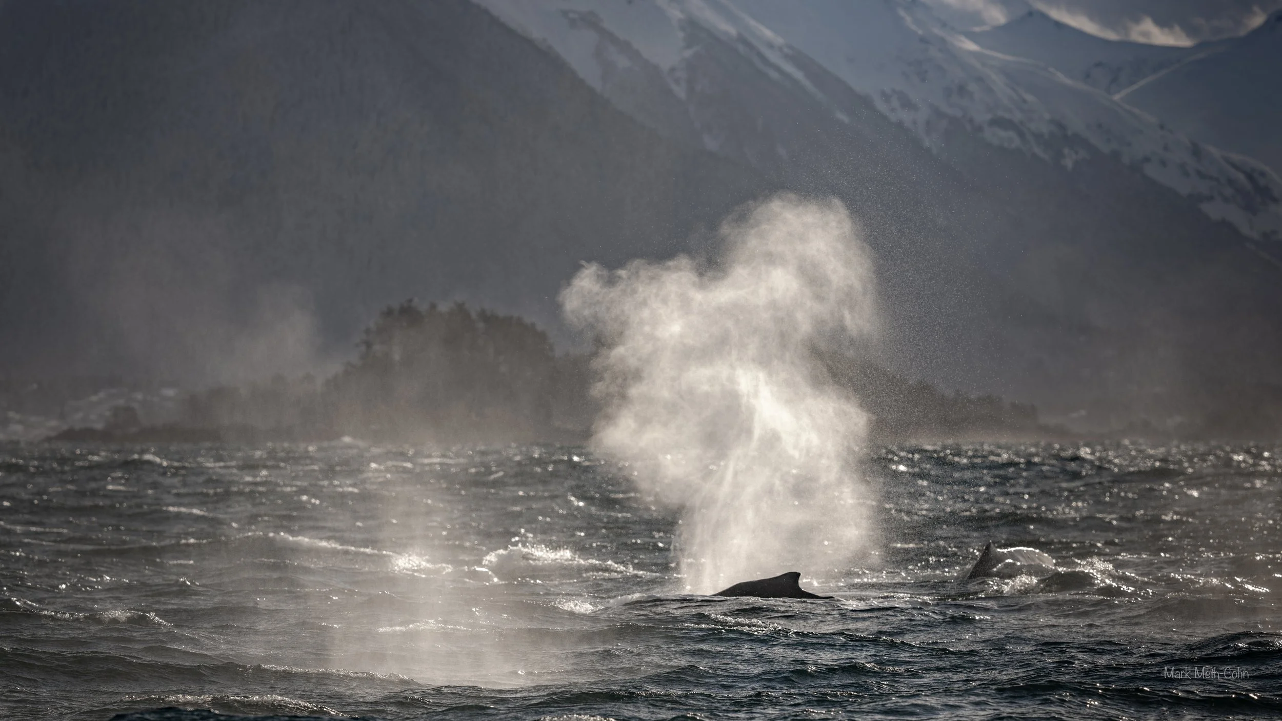 Alaska (23 of 32).jpg