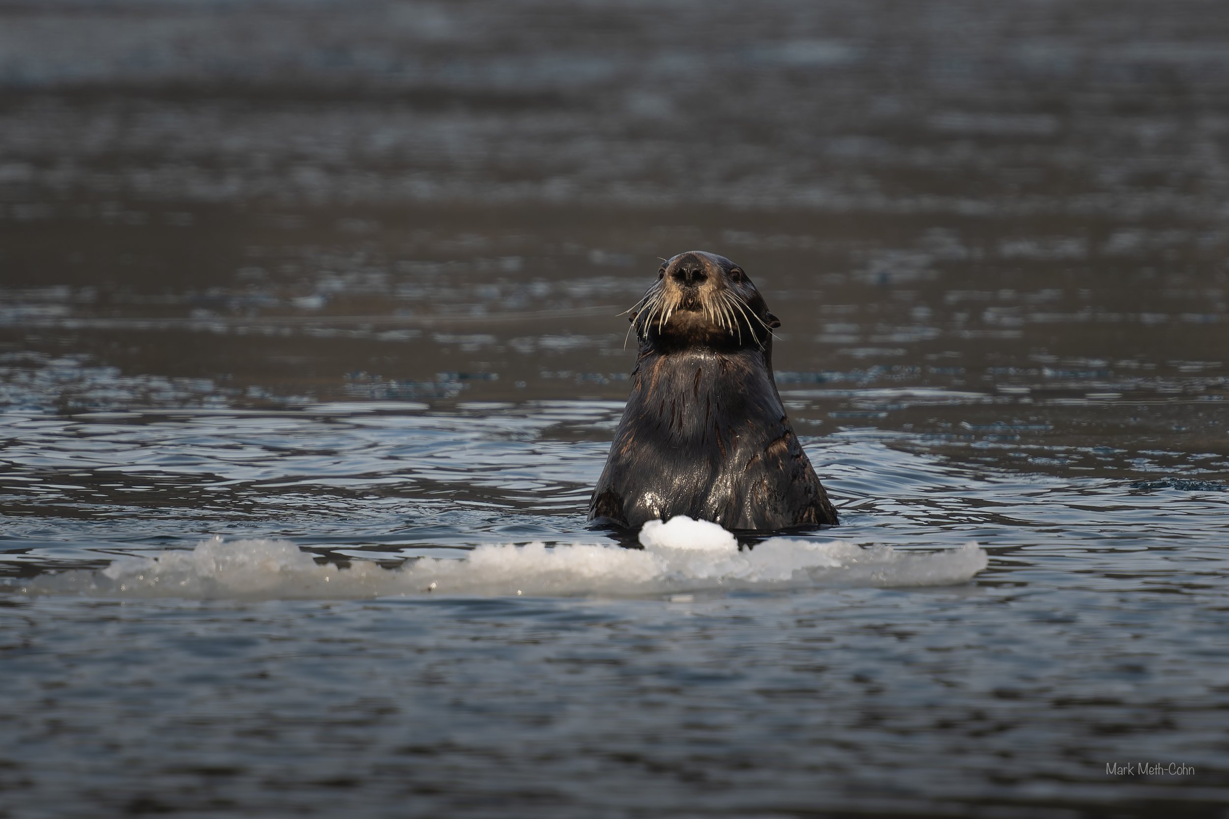 Alaska (11 of 32).jpg