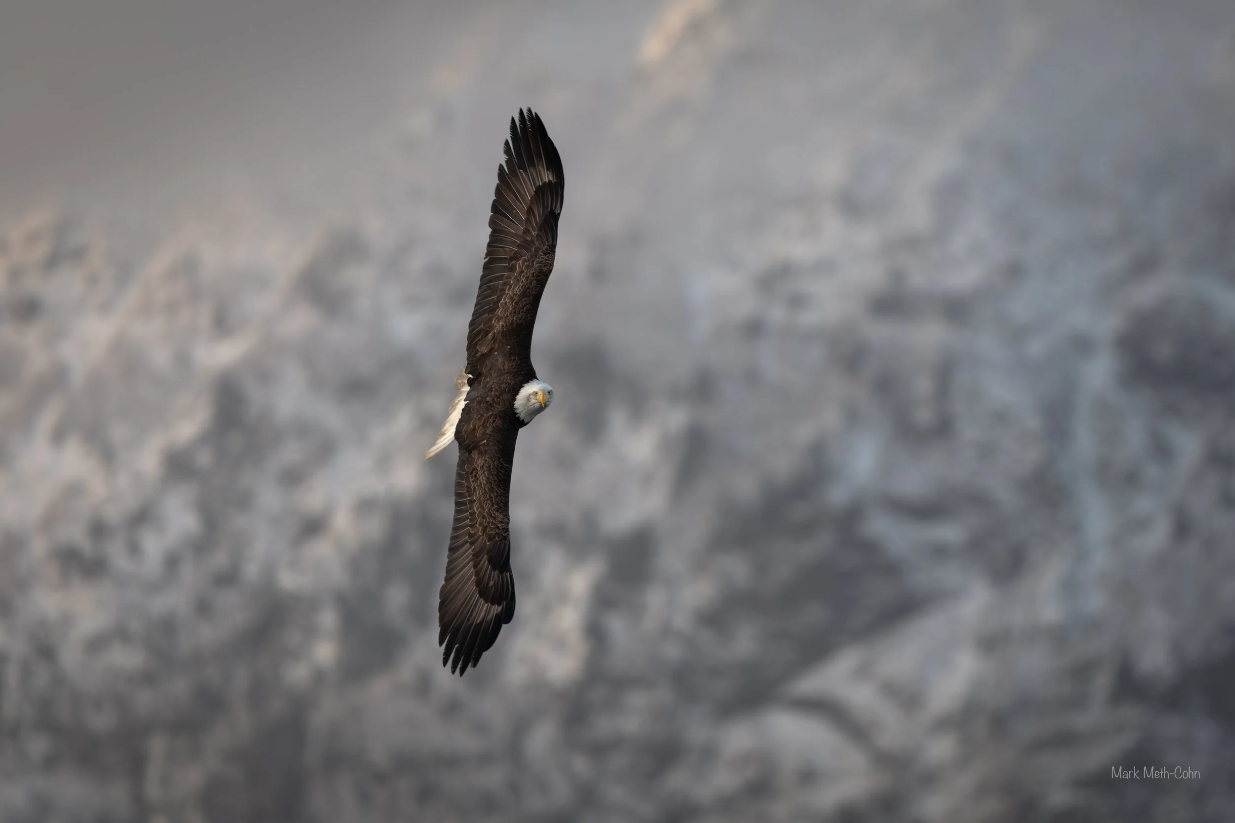 Alaska (18 of 32).jpg