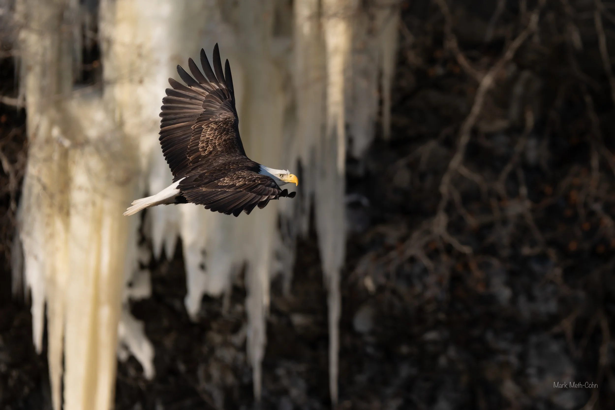 Alaska (2 of 32).jpg