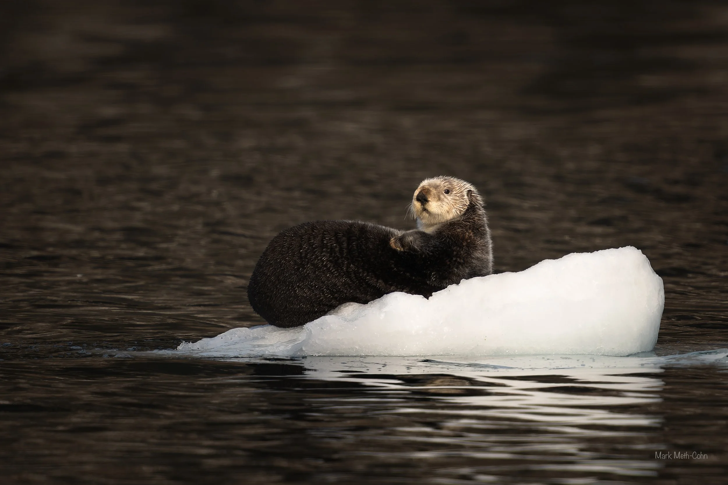 Alaska (16 of 32).jpg