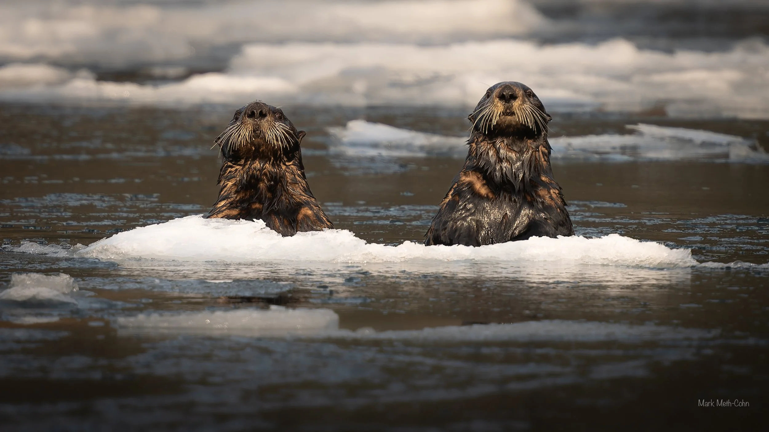 Alaska (13 of 32).jpg