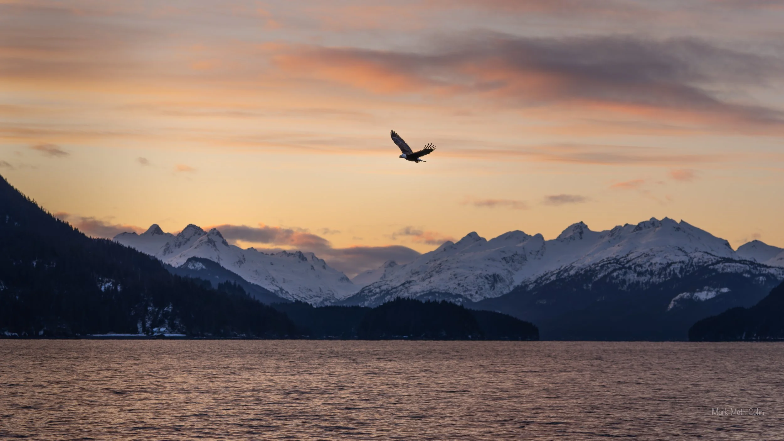 Alaska (10 of 32).jpg