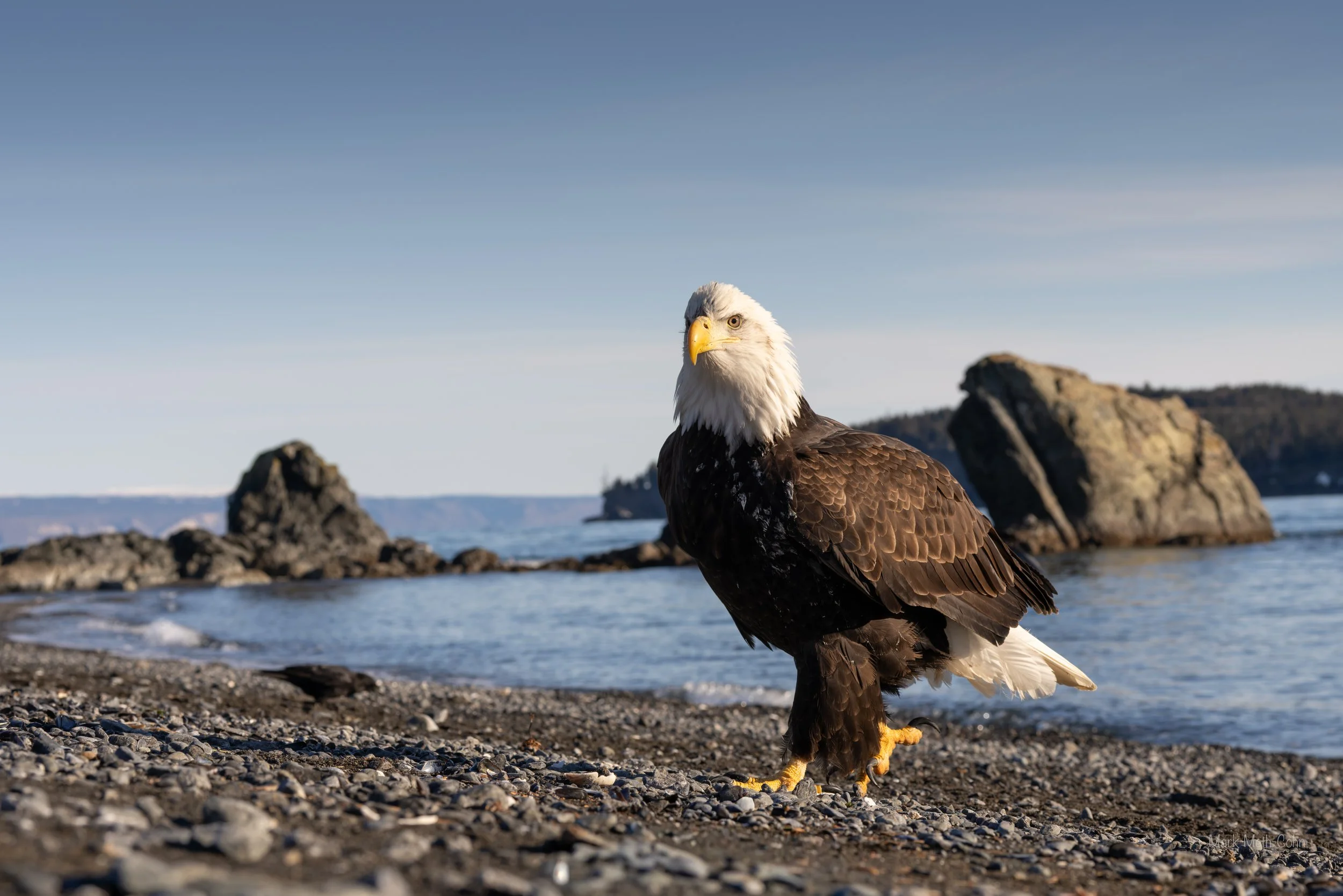 Alaska (6 of 32).jpg